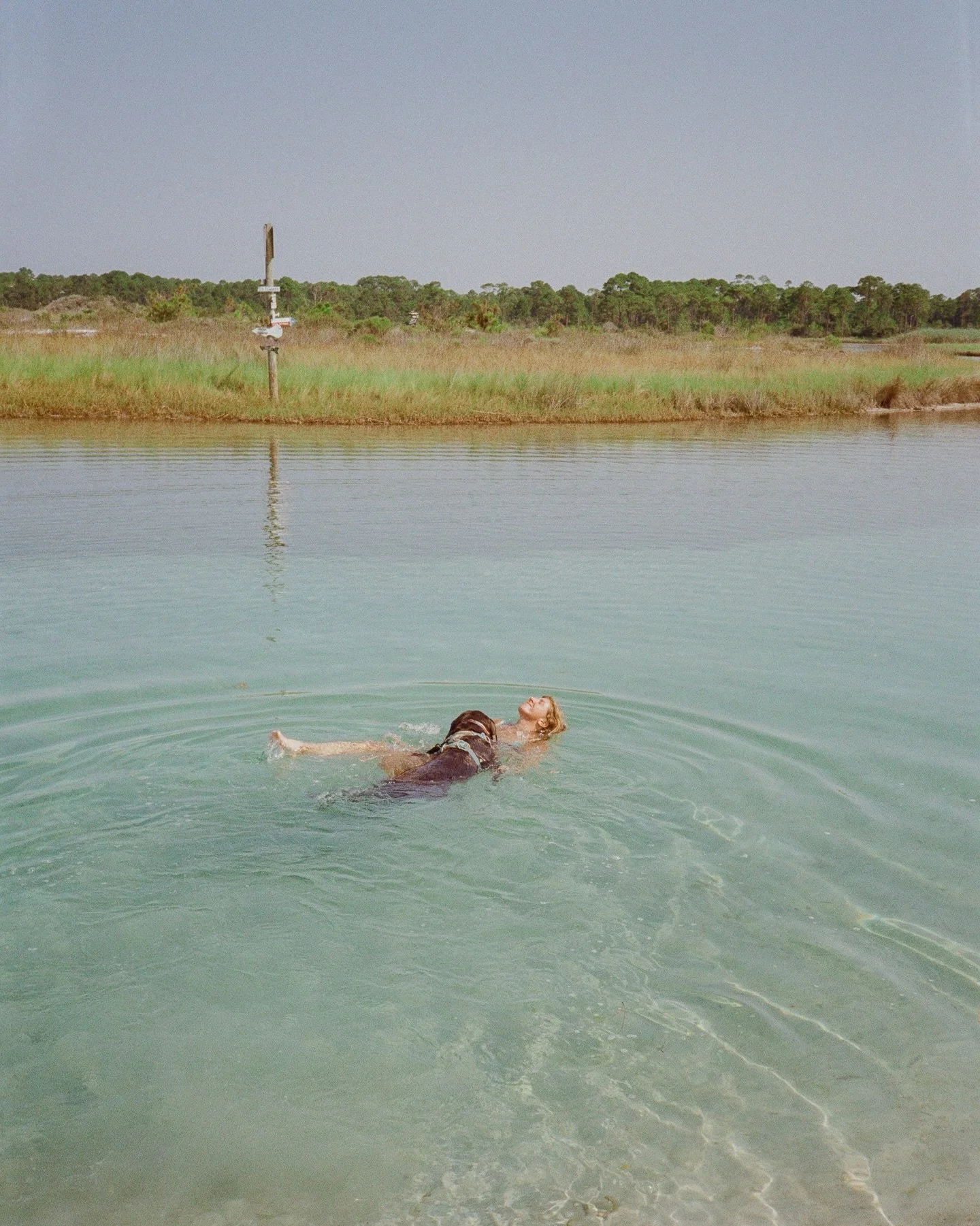 due for a quiet swim in the dune lakes.
anyone else?

#35mmfilmphotography #30aphotographer #30a #naturetherapy #shinrinyuko