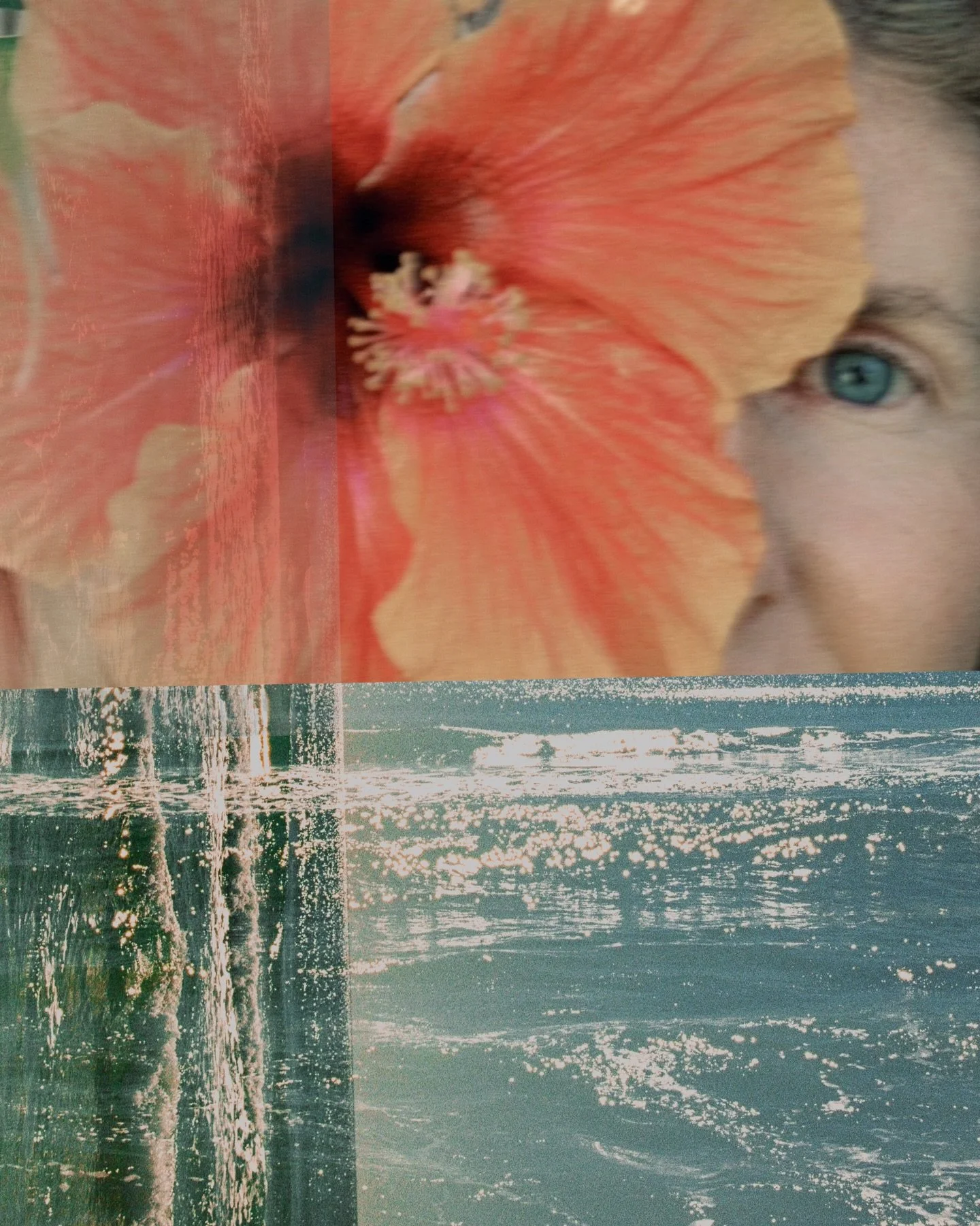 you become better through being
not by trying to become.

#30a #lovefl #sowal #artofliving #shinrinyoku