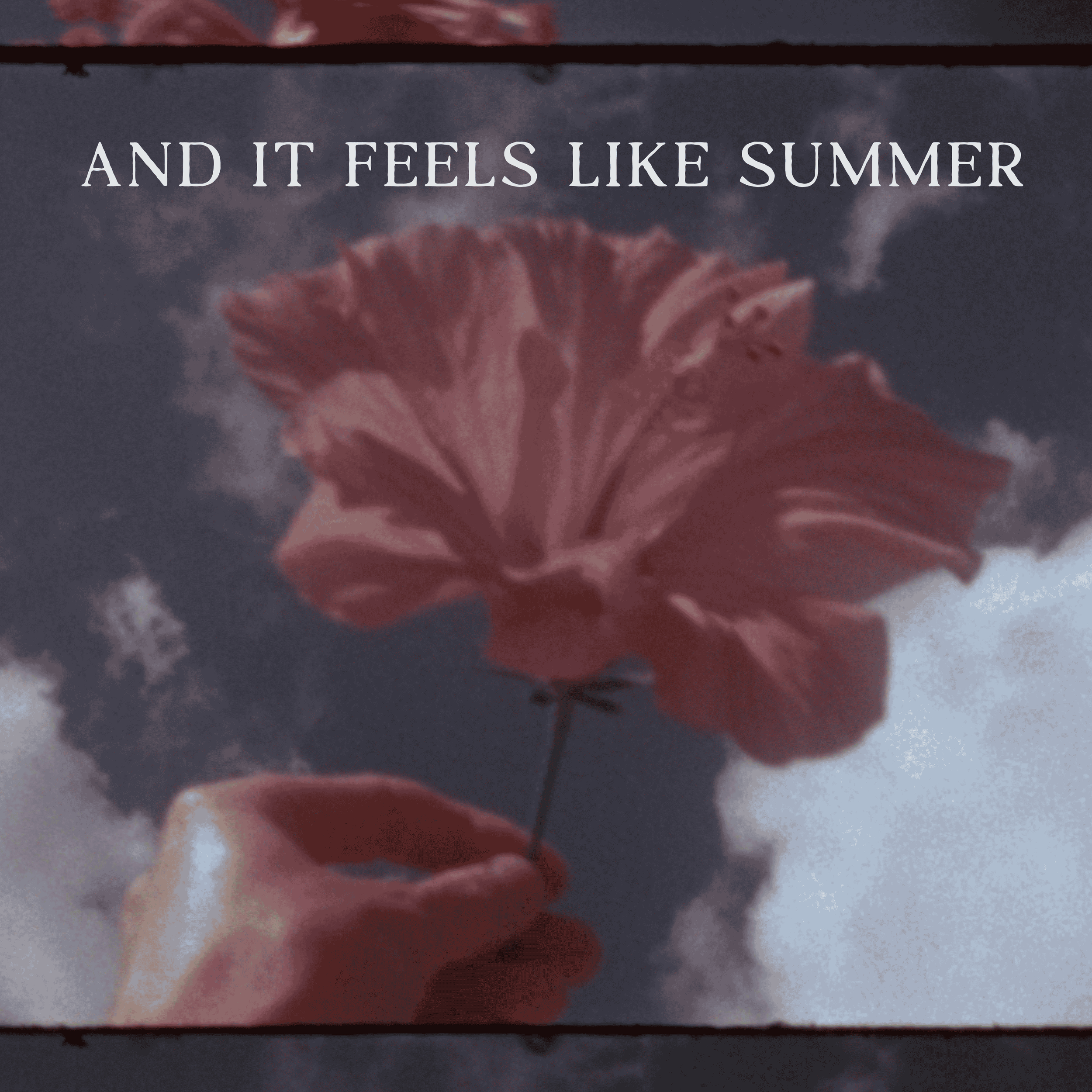 and it feels like summer.