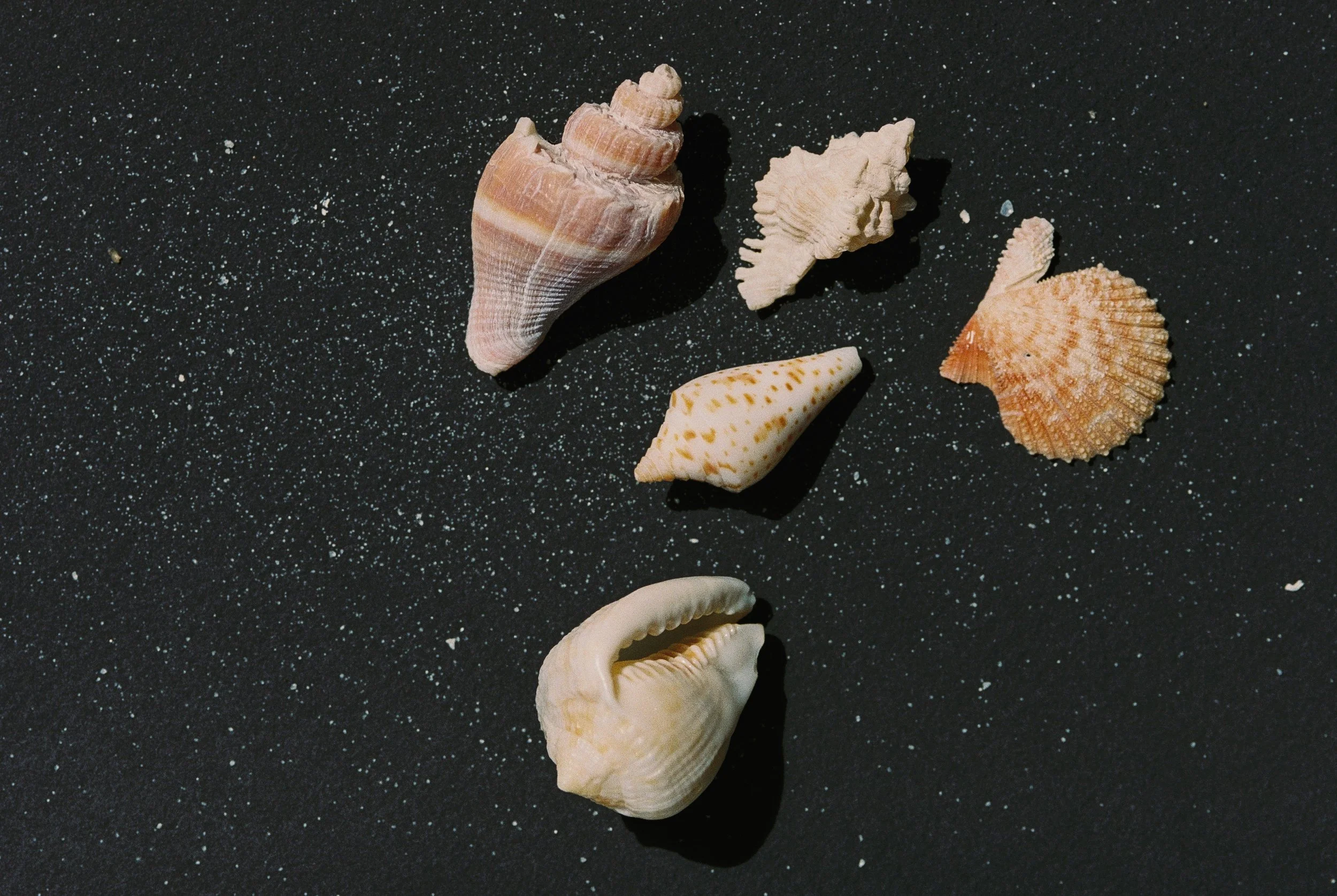 R1-01411-014A.jpg