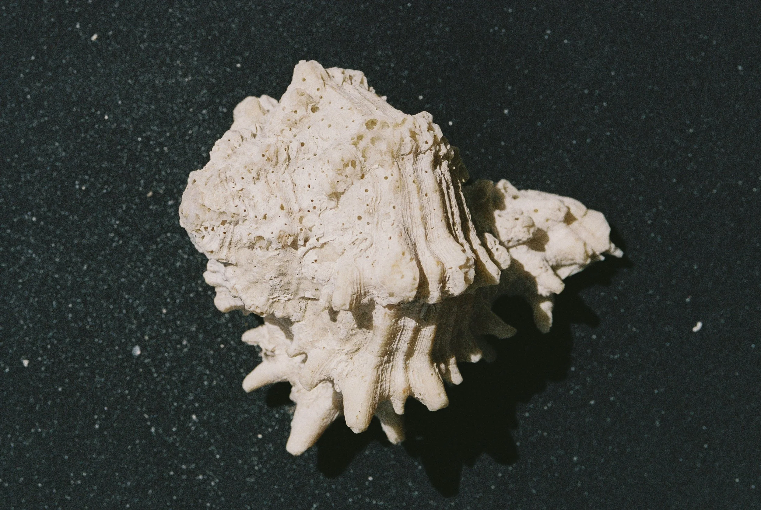 R1-01411-011A.jpg