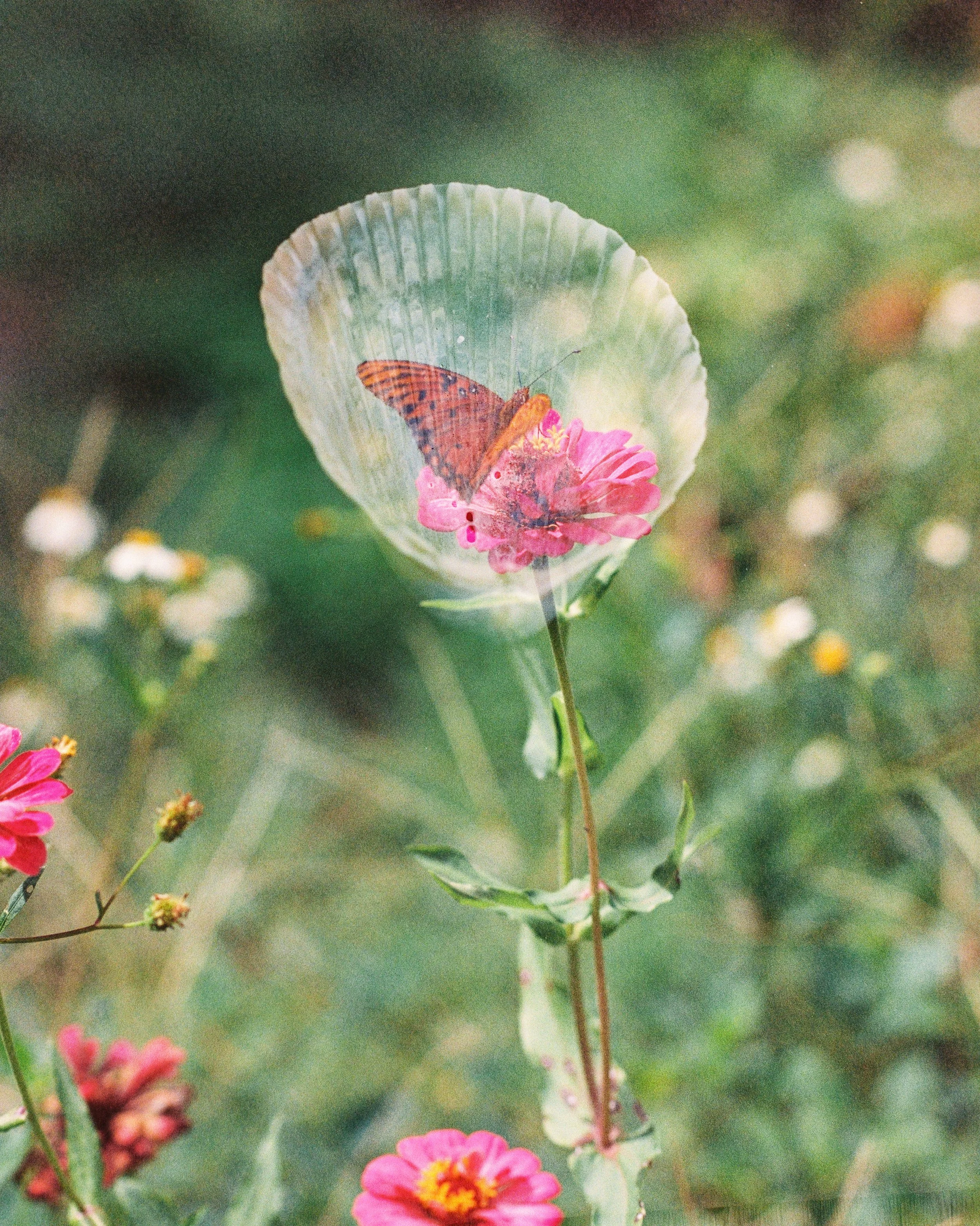 R1-01300-0035.jpg