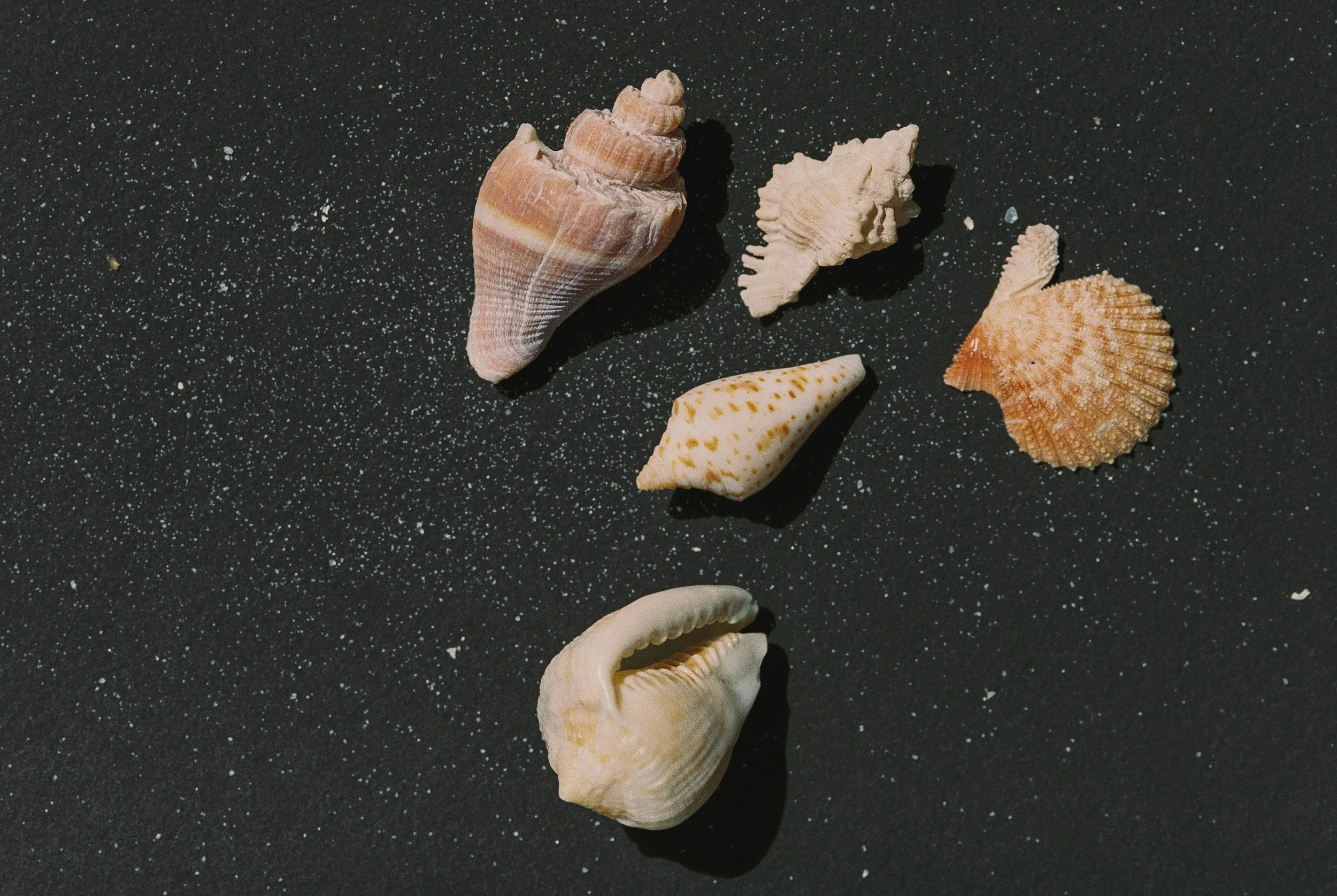 R1-01411-014A.jpg