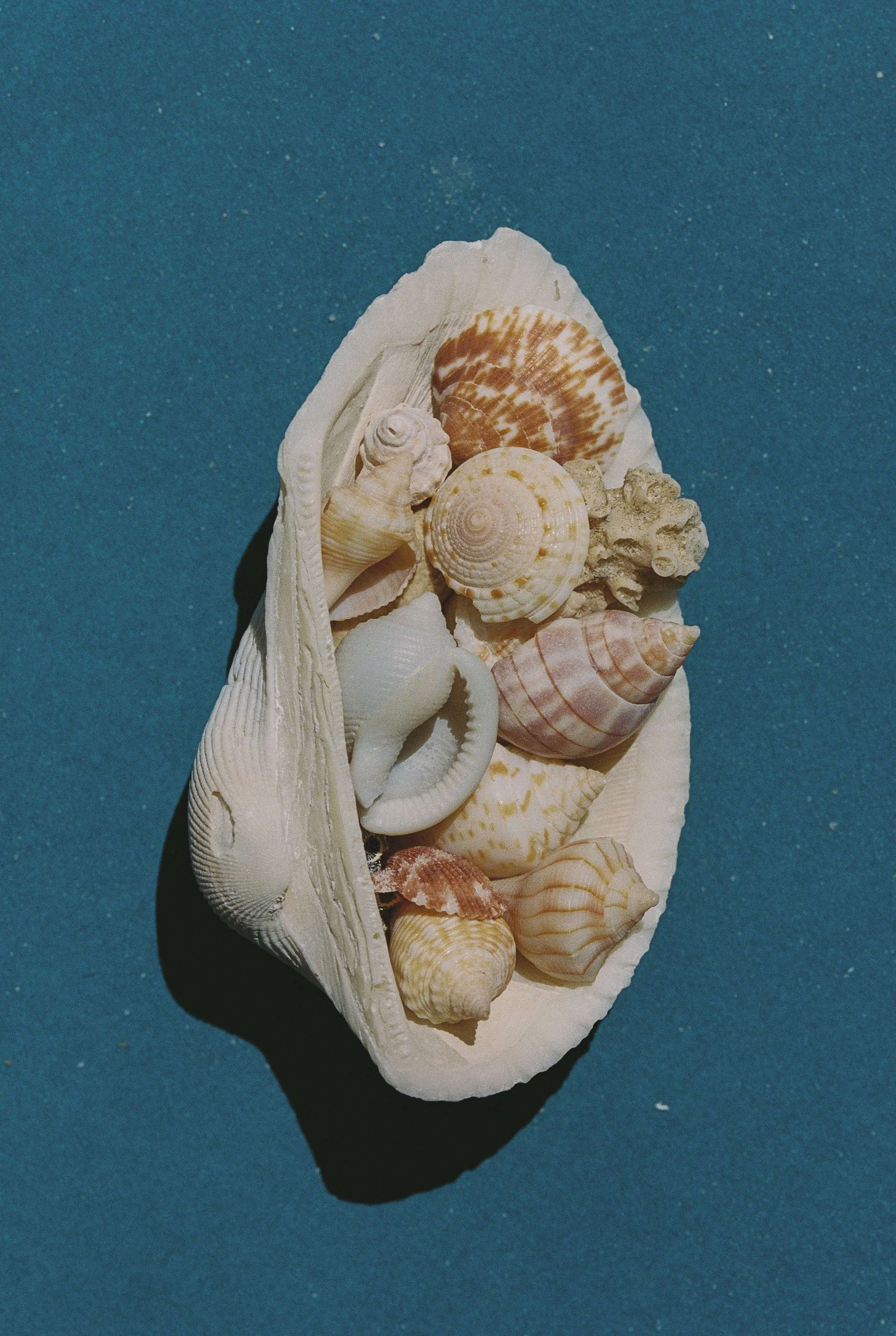 R1-01411-006A.jpg