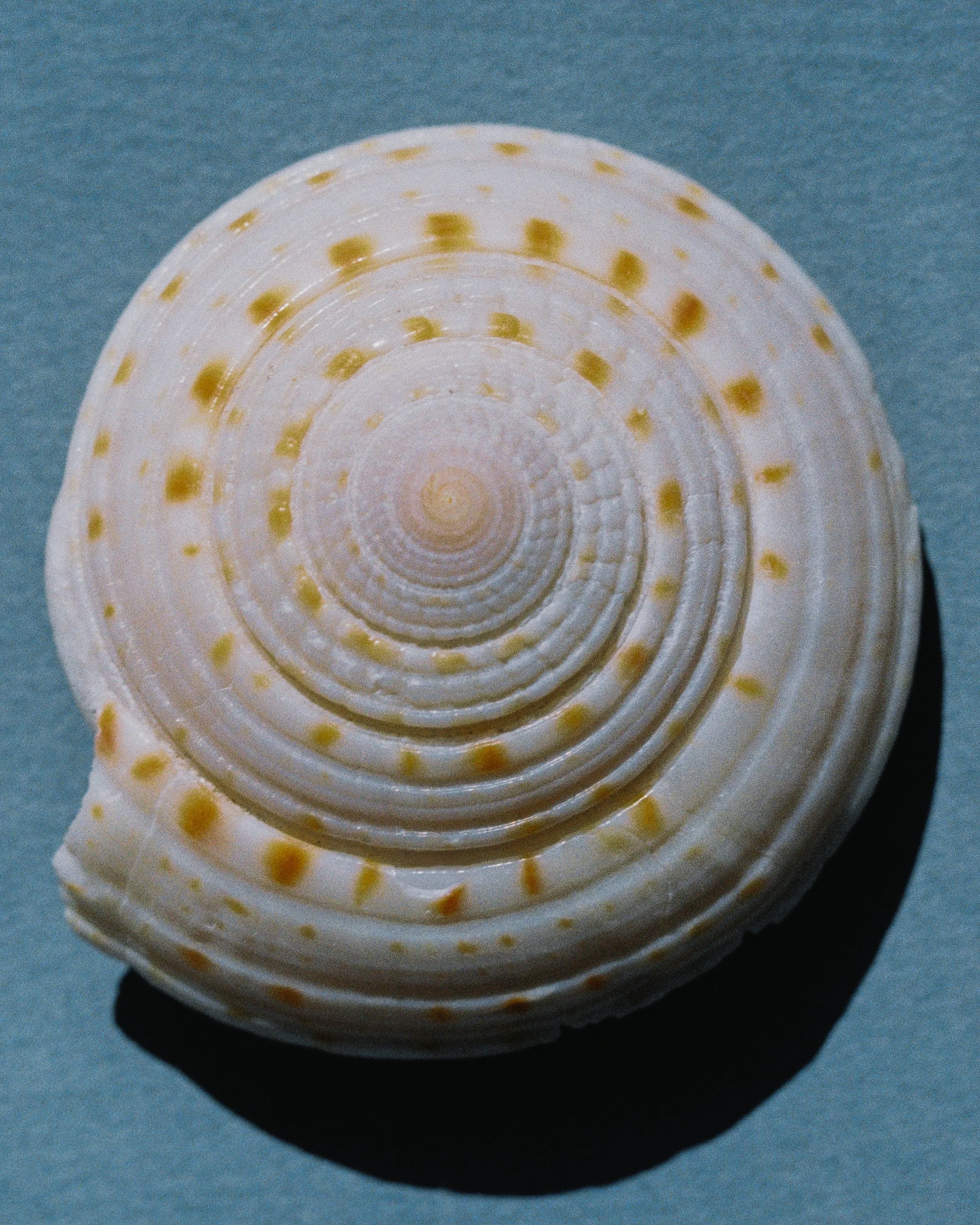 R1-01537-0001.jpg