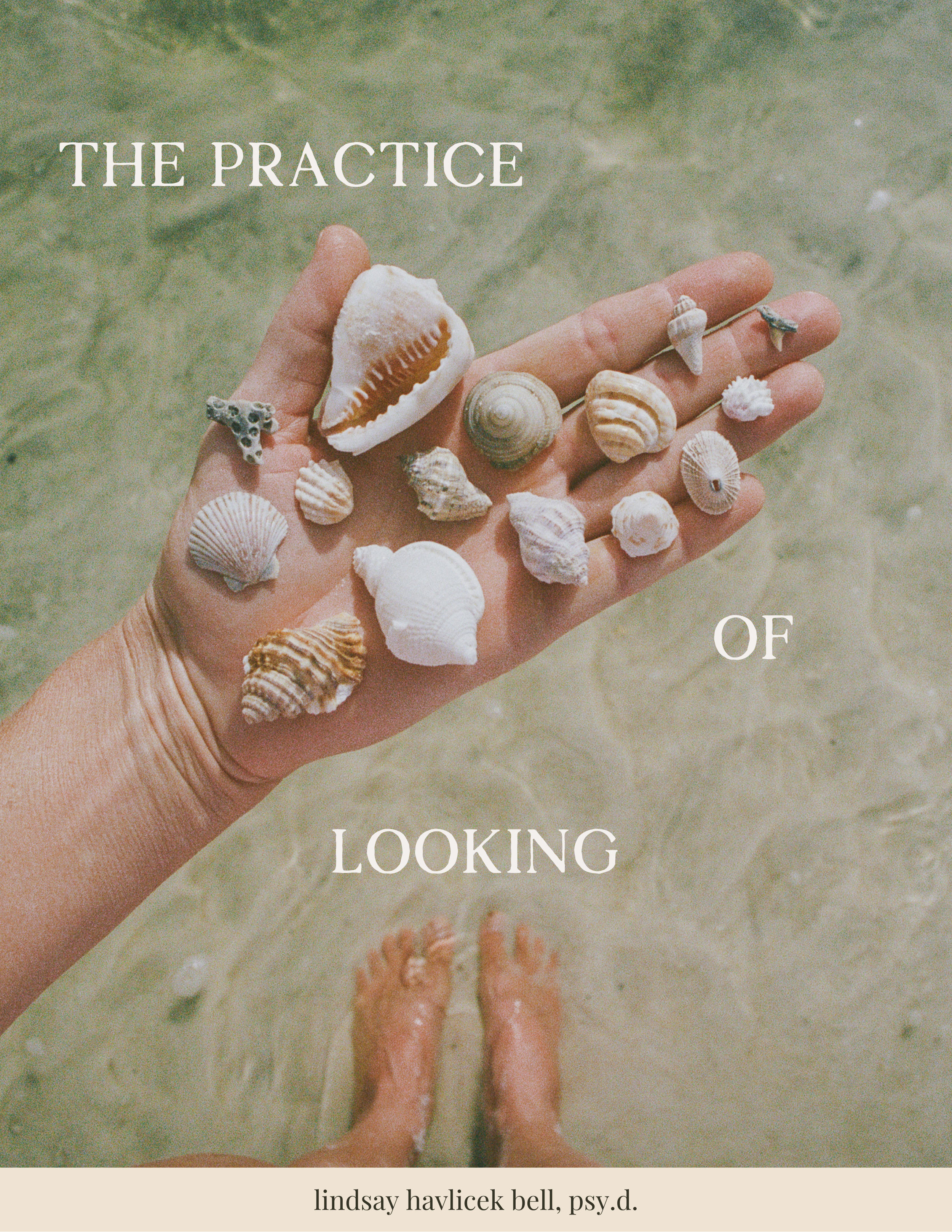 The Practice of Looking.png