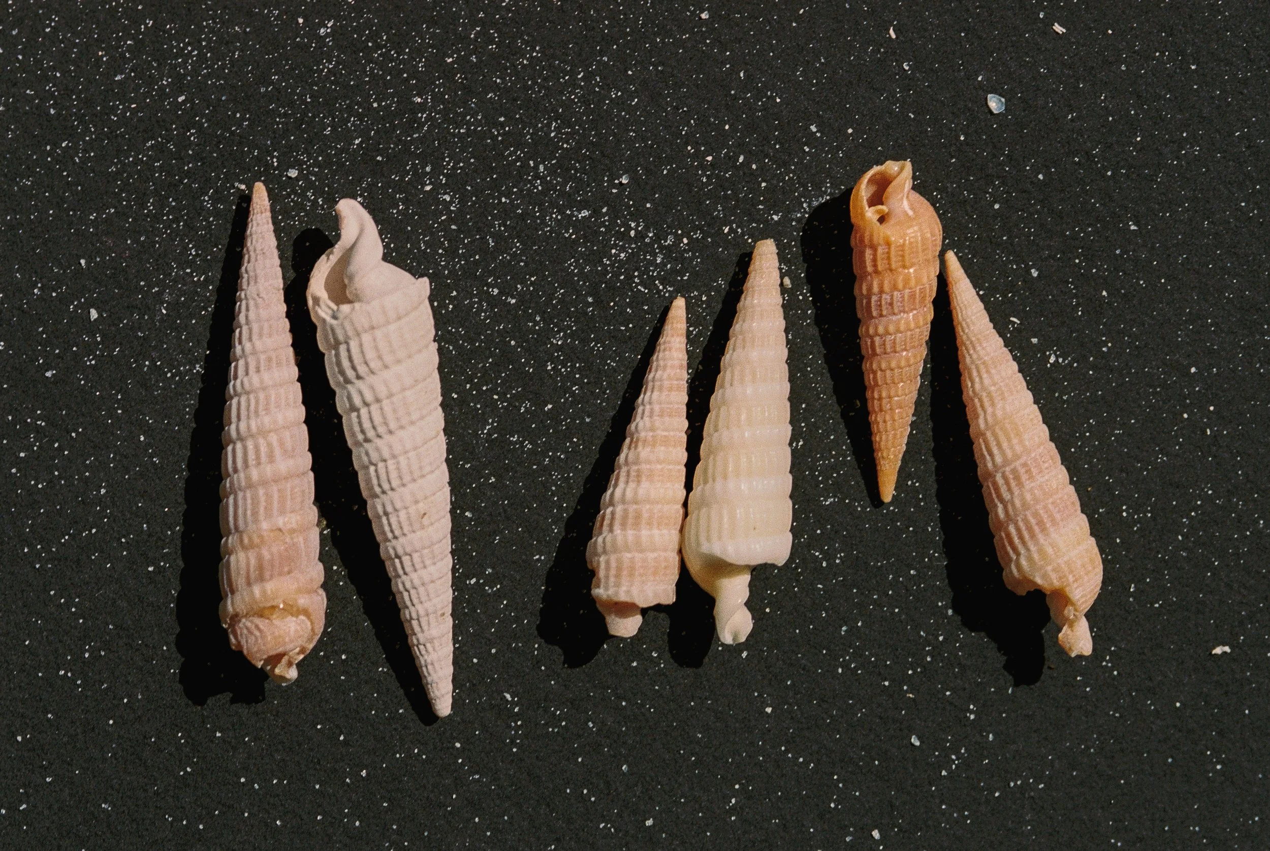 R1-01411-028A.jpg