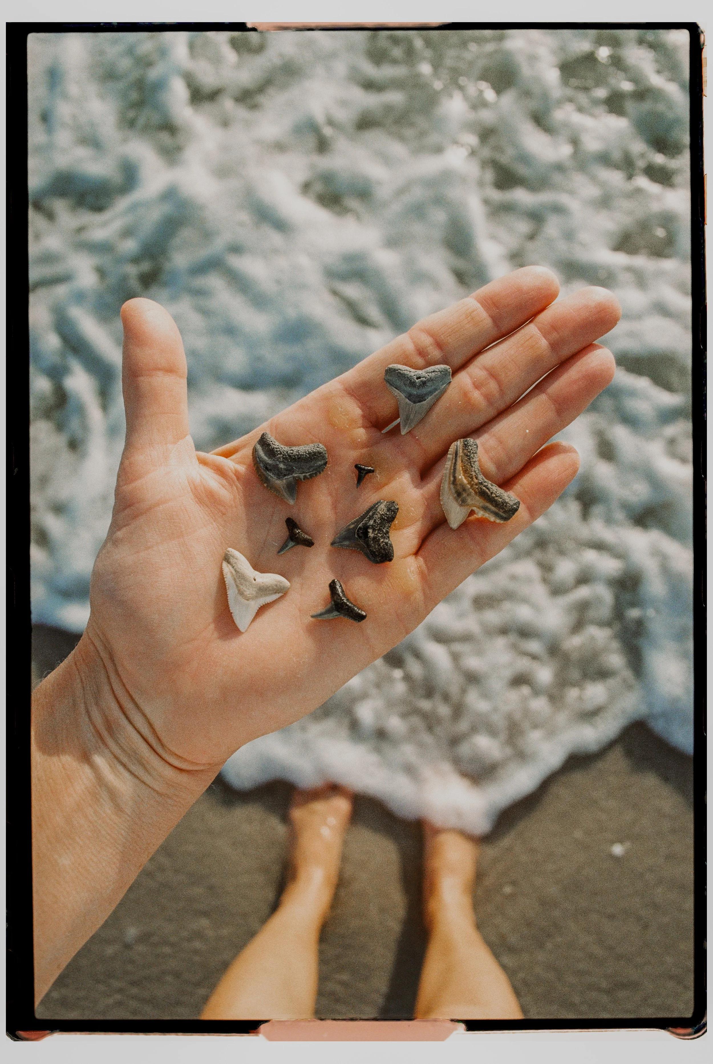 Grayton 2026-156.jpg