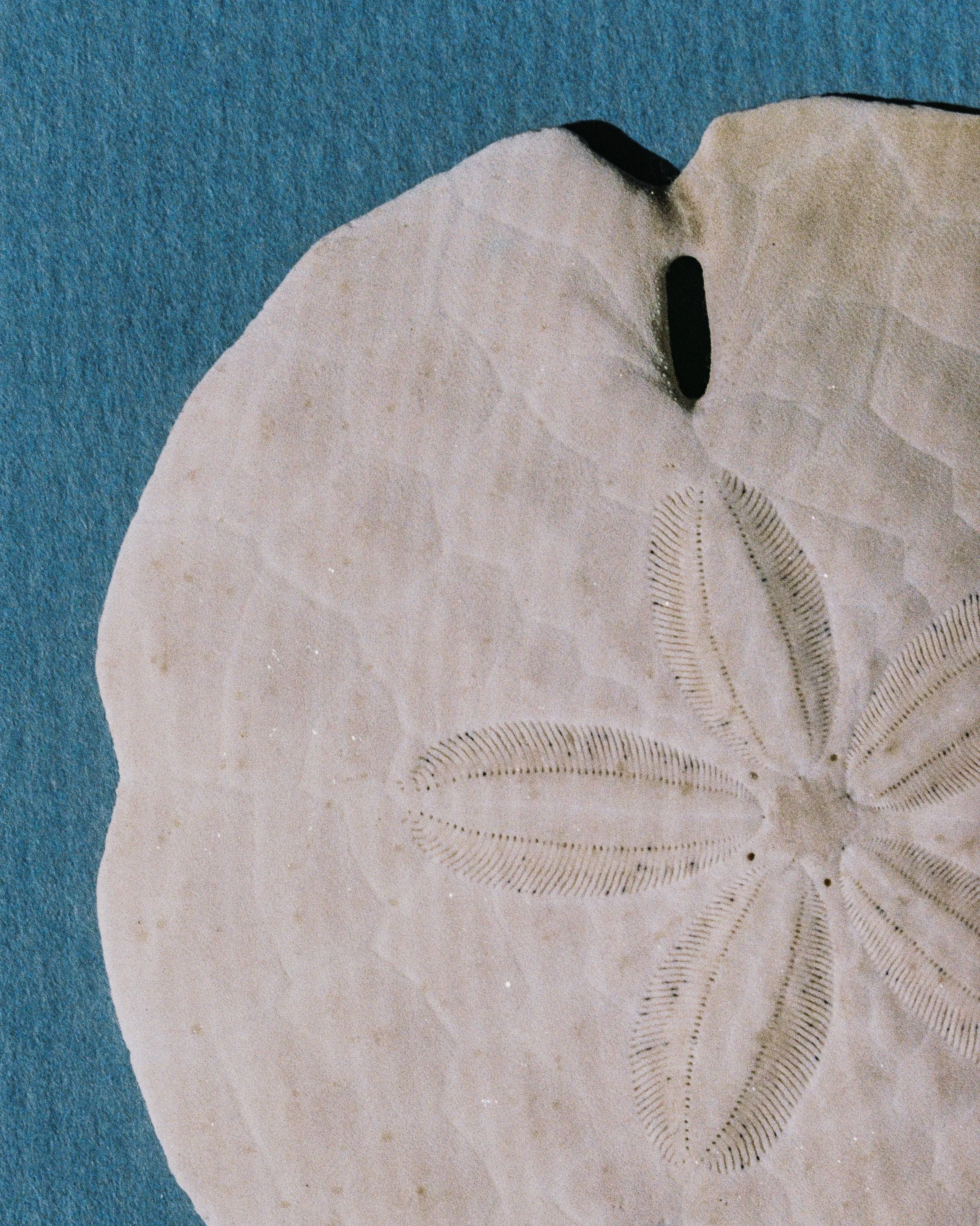 R1-01537-0003-2.jpg