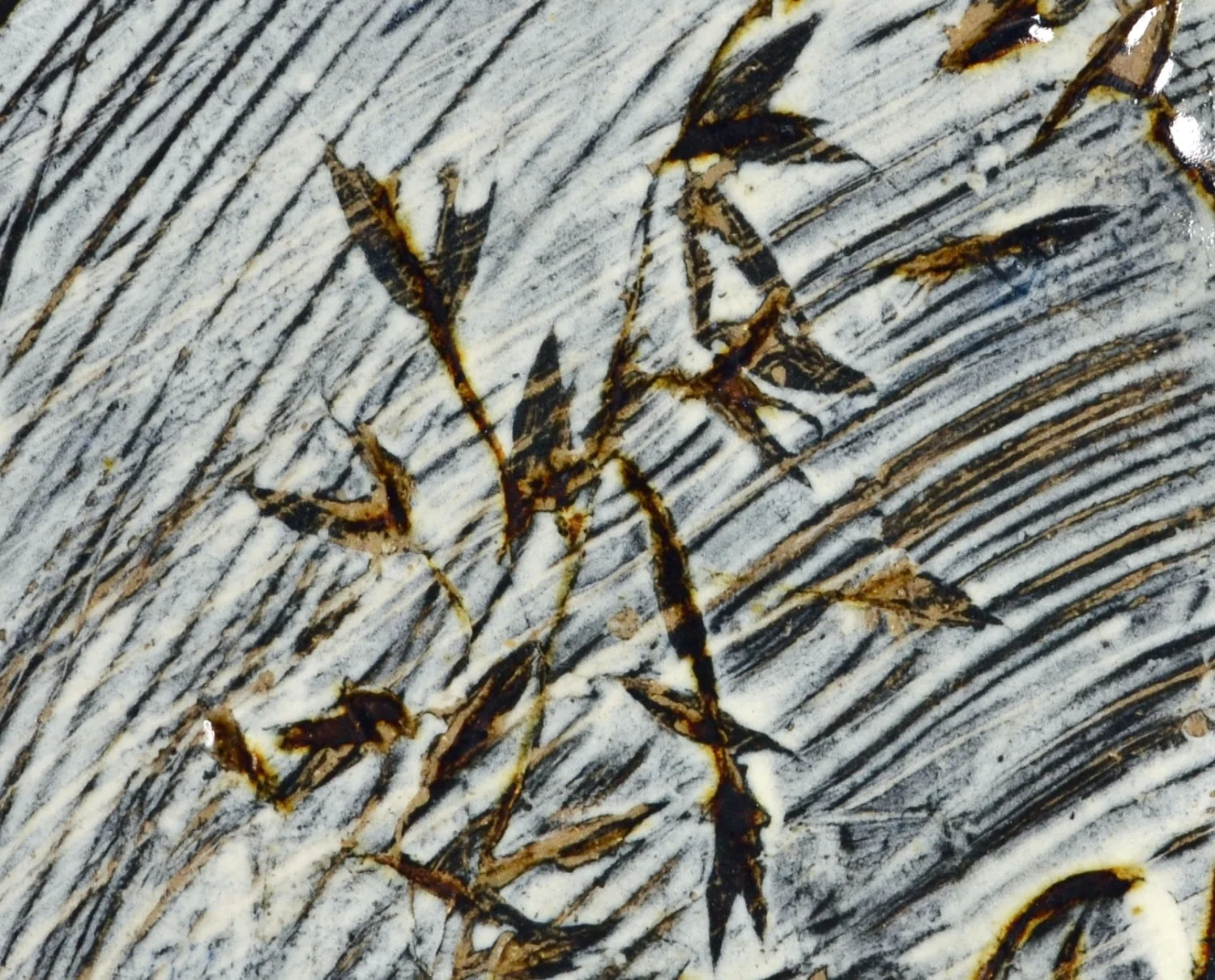 More Sea Oat Grass