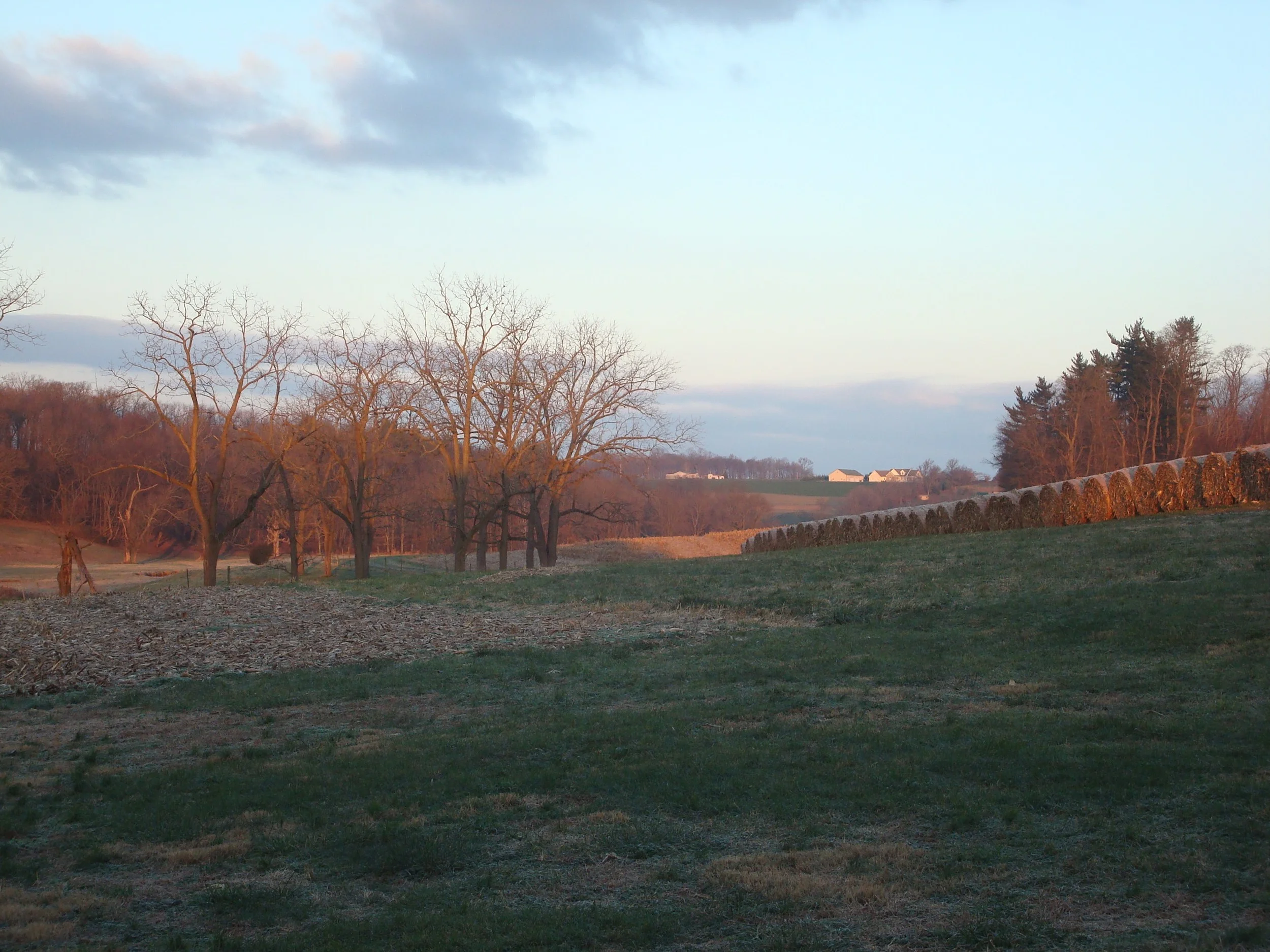 Early morning at the kiln