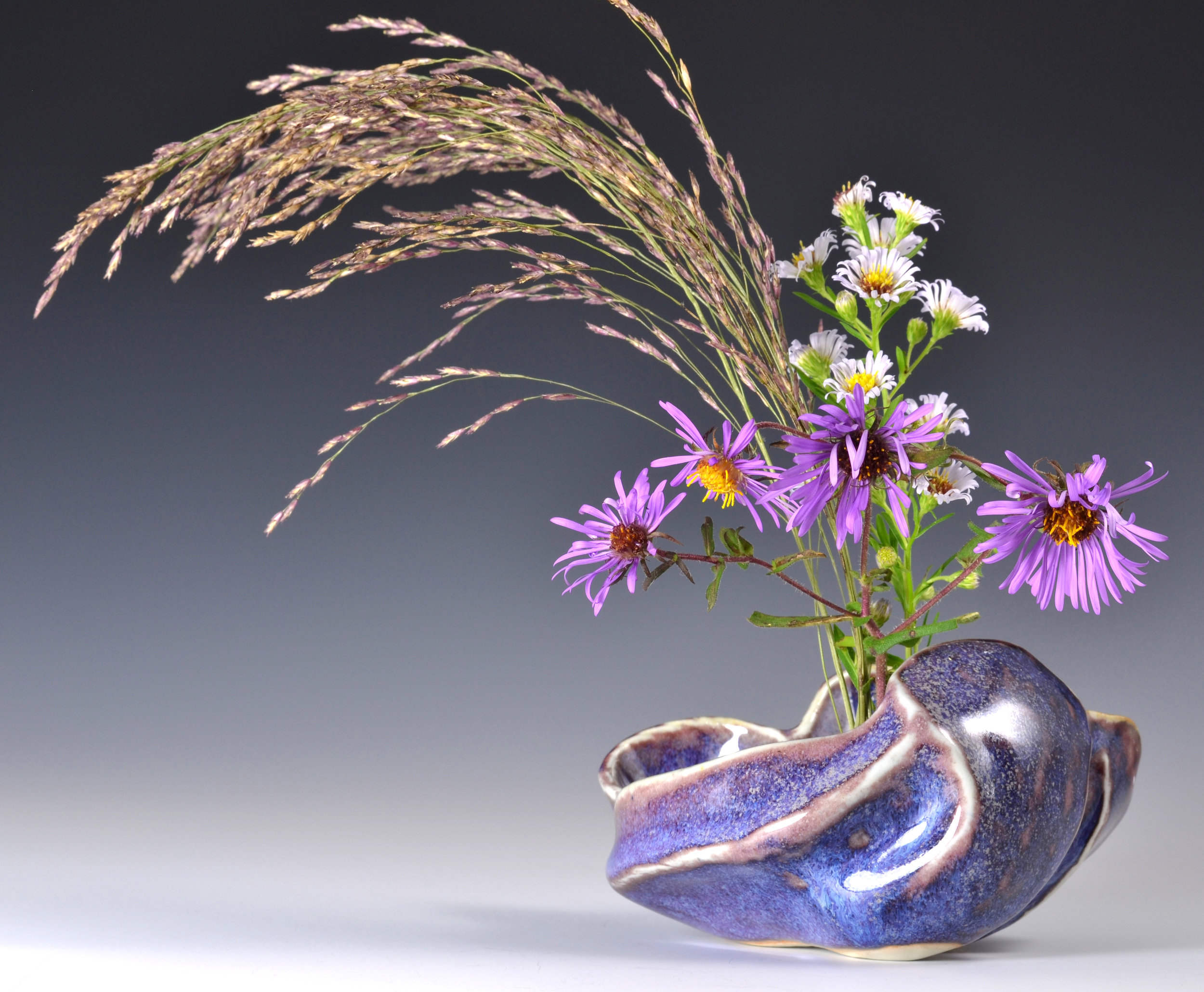 PotsWithFlowers.SeidenbergEllis.Margaret.ForPaulusBerensohn.jpg