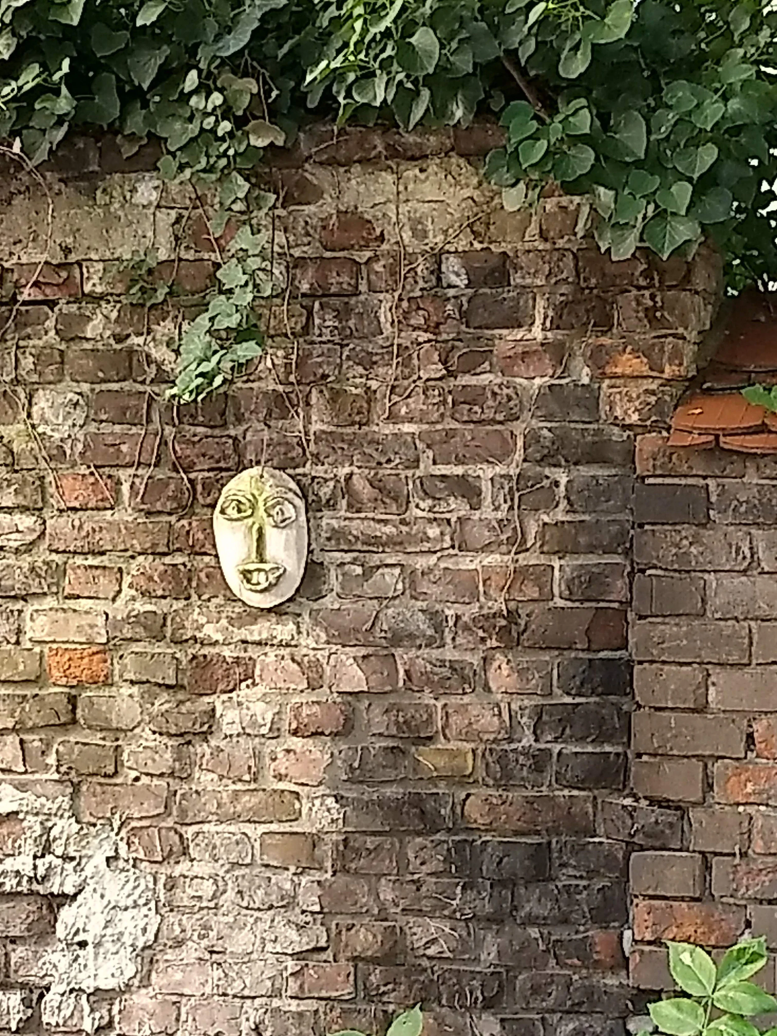 In the outside garden