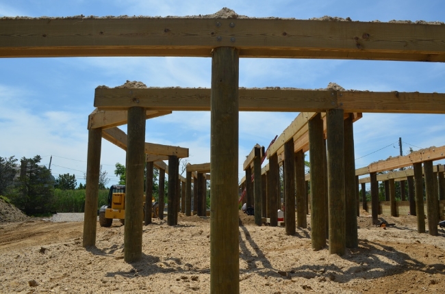 Timber pilings grown and harvested regionally