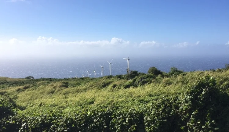 Practical Sustainability:  Offset Your Carbon Footprint