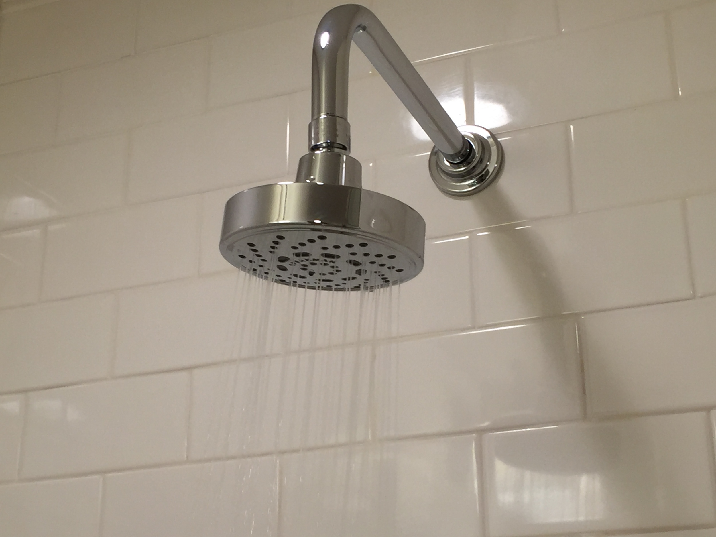 Speakman 1.75 gpm Echo Multi-Function Low-Flow Shower Head