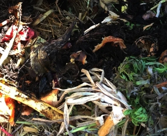 Getting Serious About Composting!