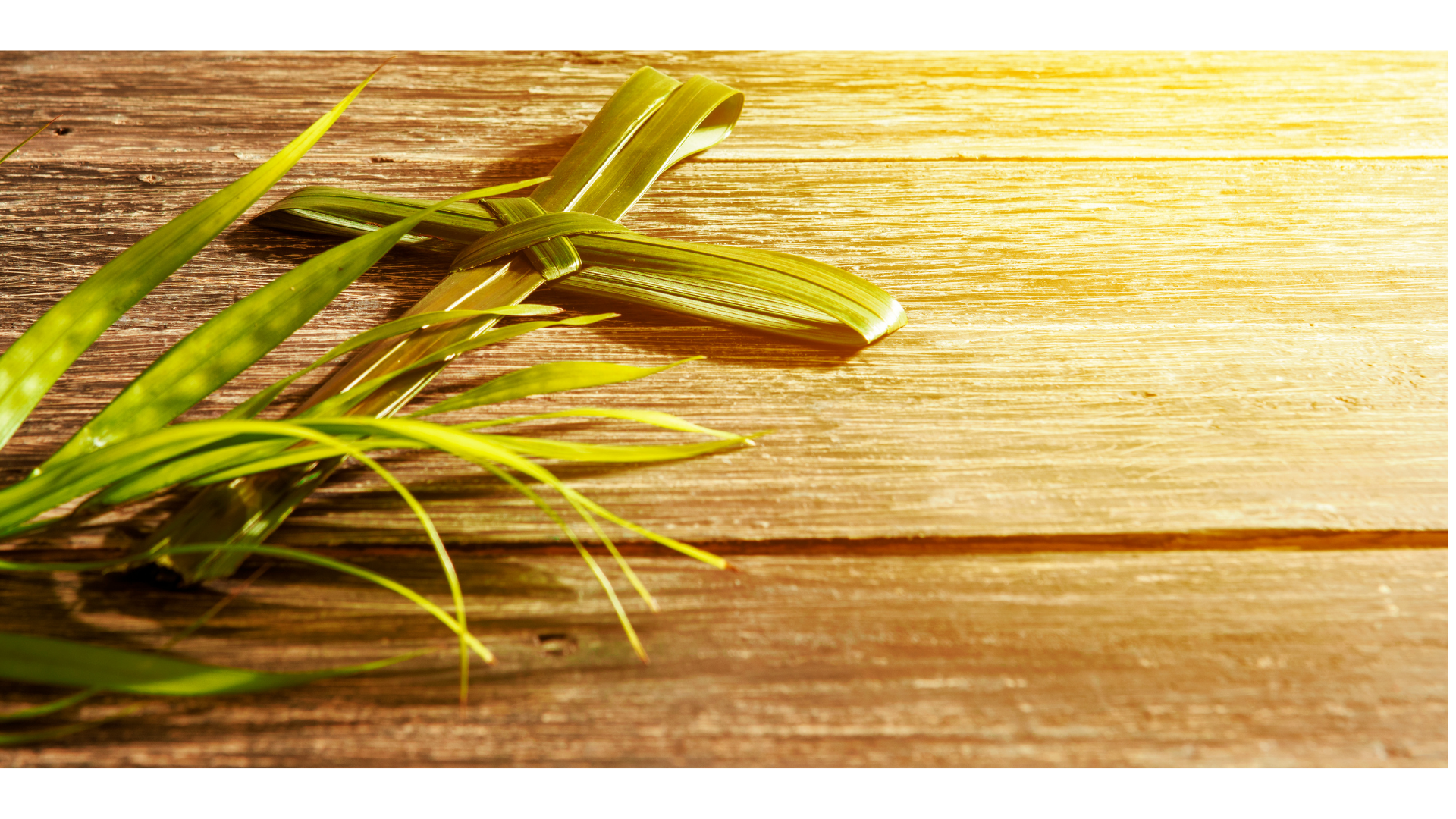Palm Sunday Online Worship Service