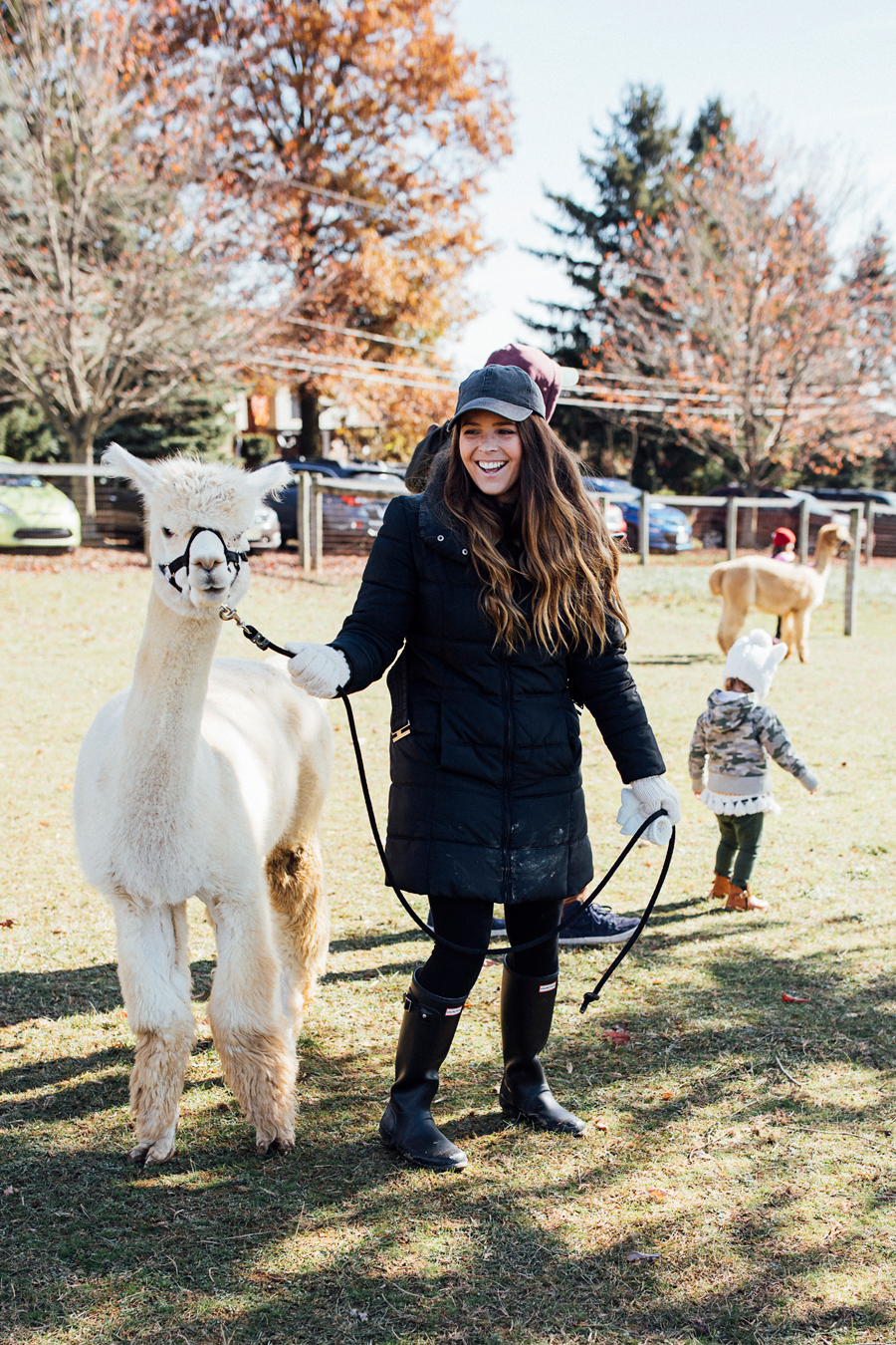 brookecourtney_eastlandalpaca-18.jpg