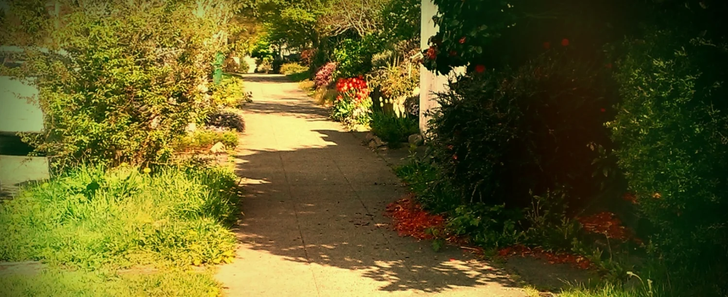 Sidewalkd.jpg