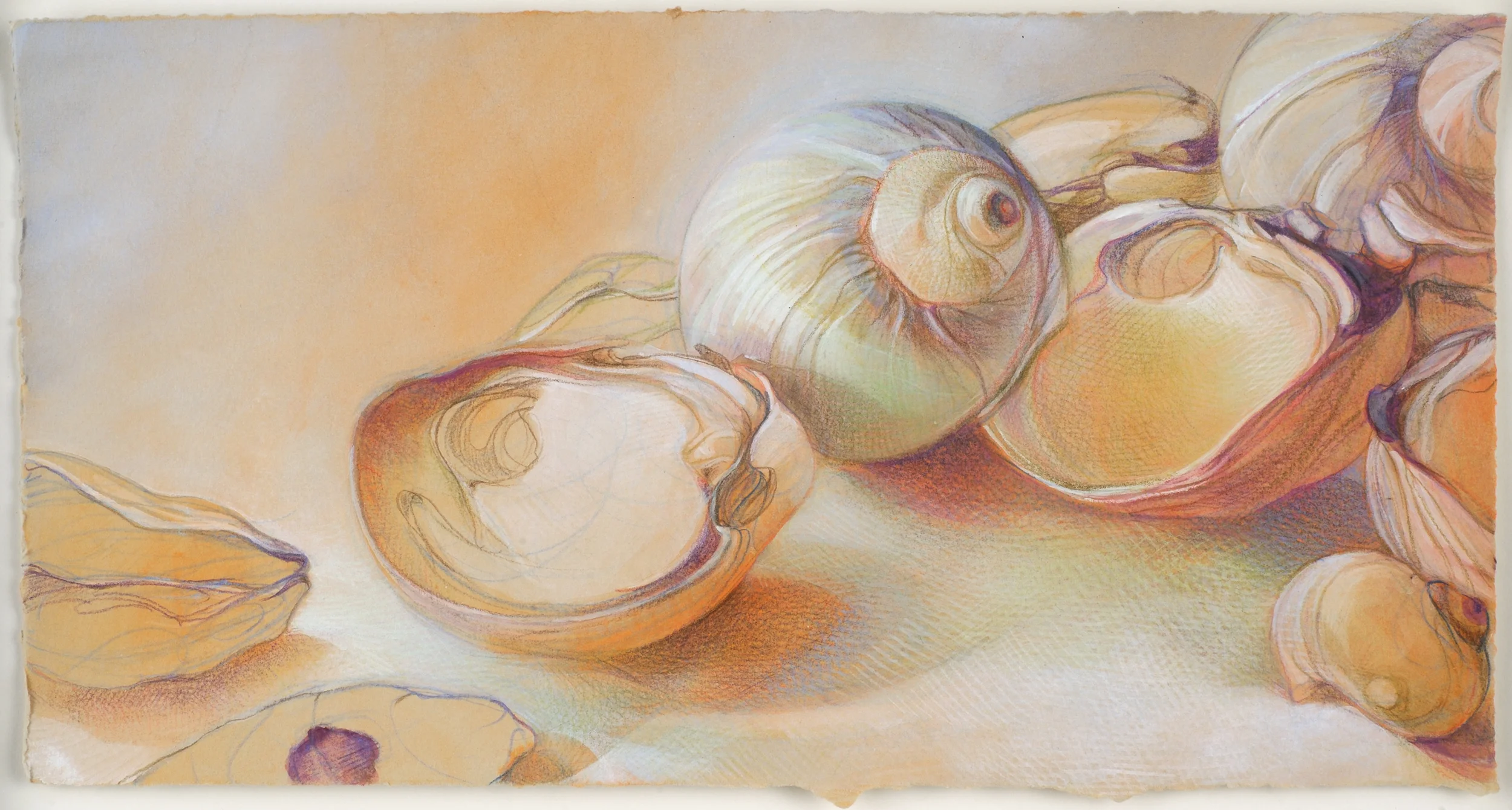shell landscape, watercolor & pencil, 2008