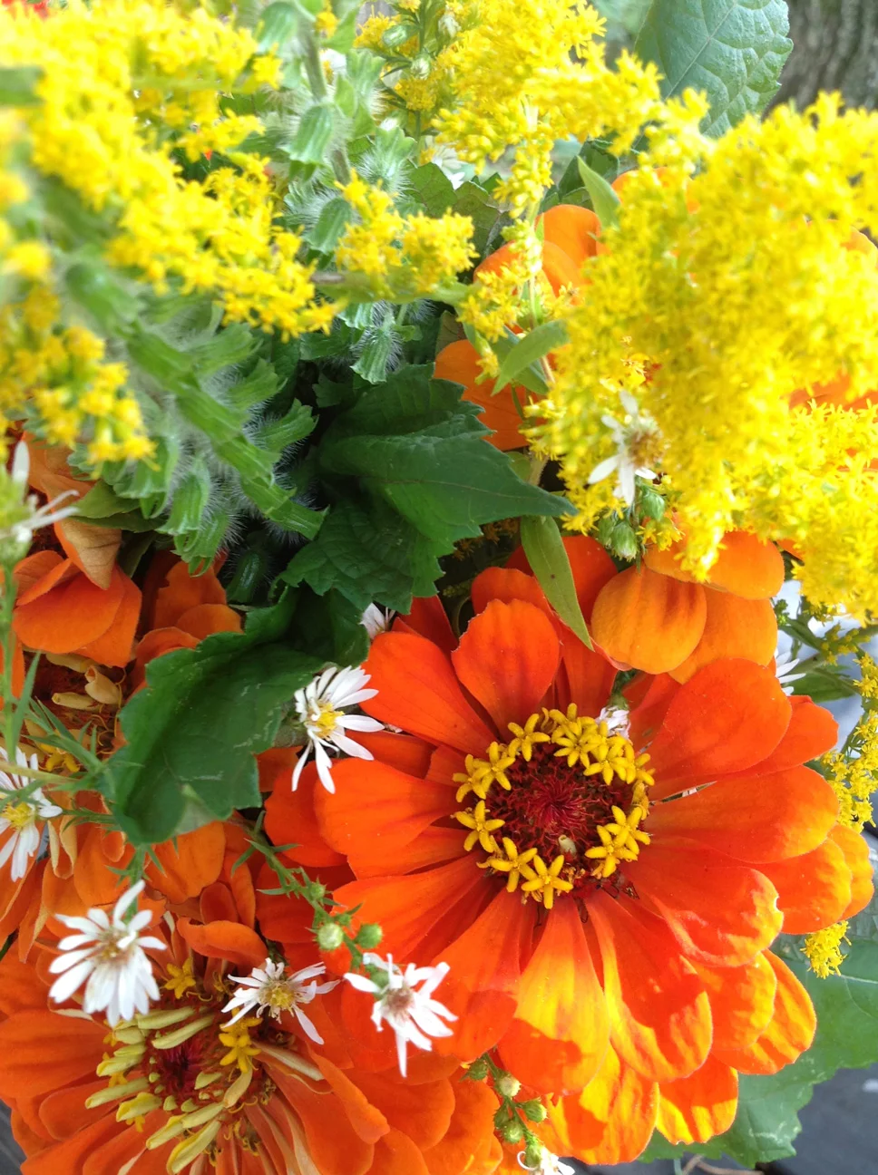 FBF-flowers-3.jpg