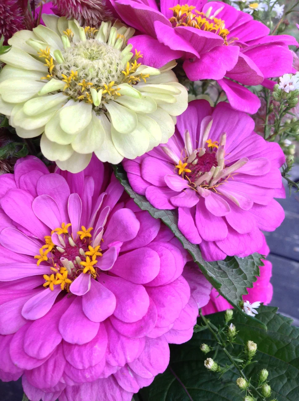 FBF-Flowerw-2.jpg