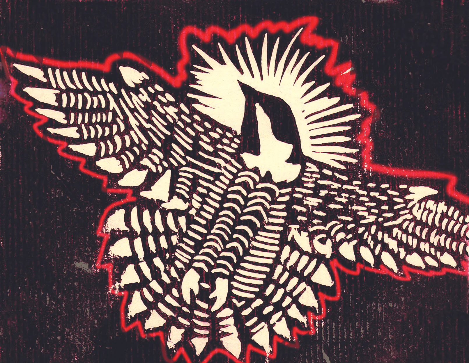 falcon081.jpg