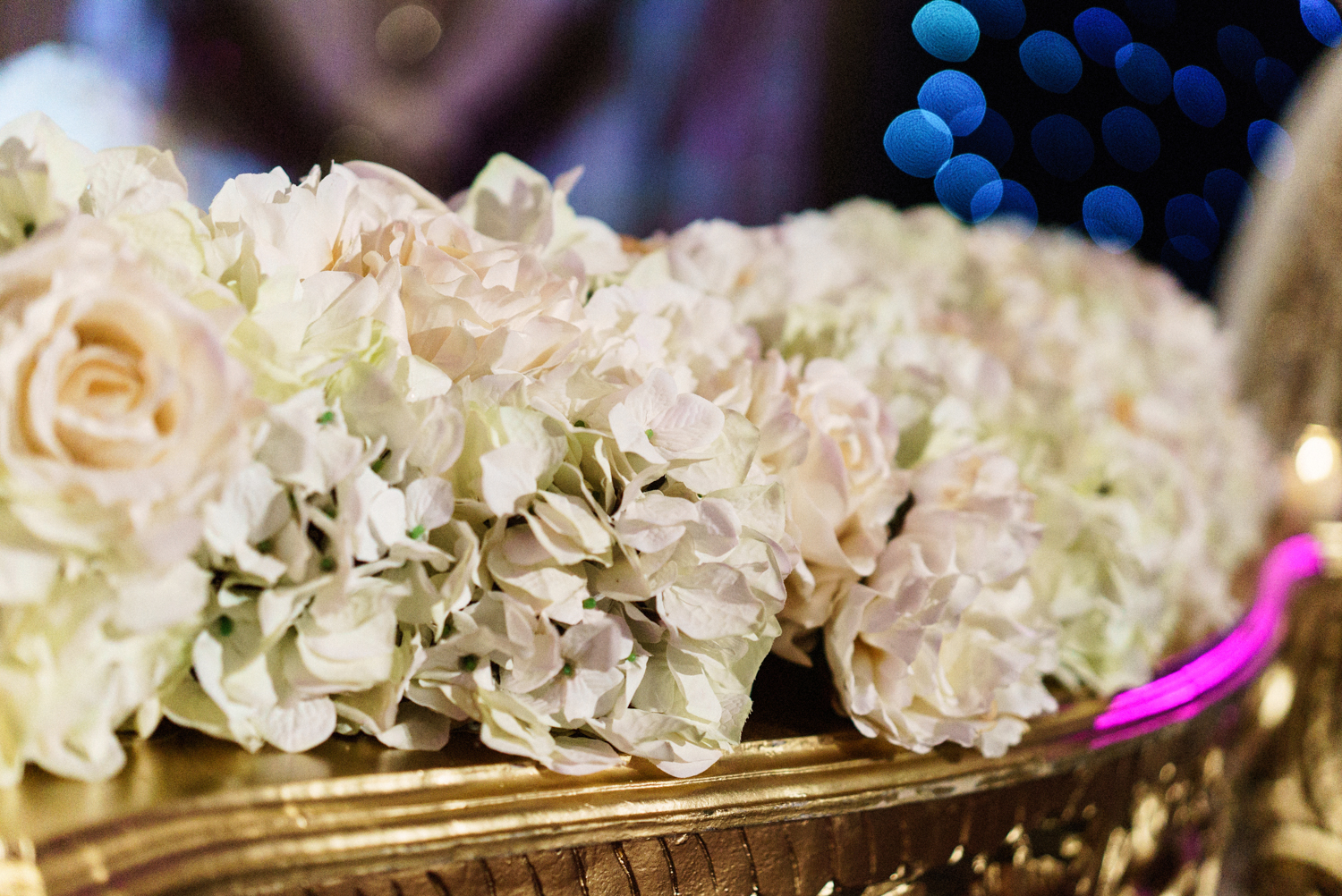 sumi and nav (168 of 202).jpg