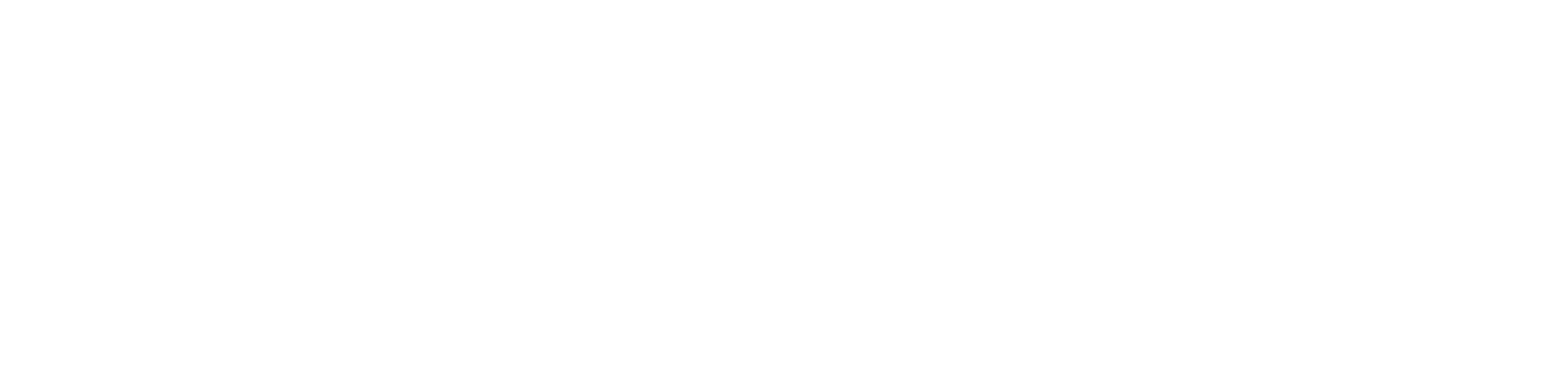 Red Cardinal Studio, Luxury Photographers, Winston Salem