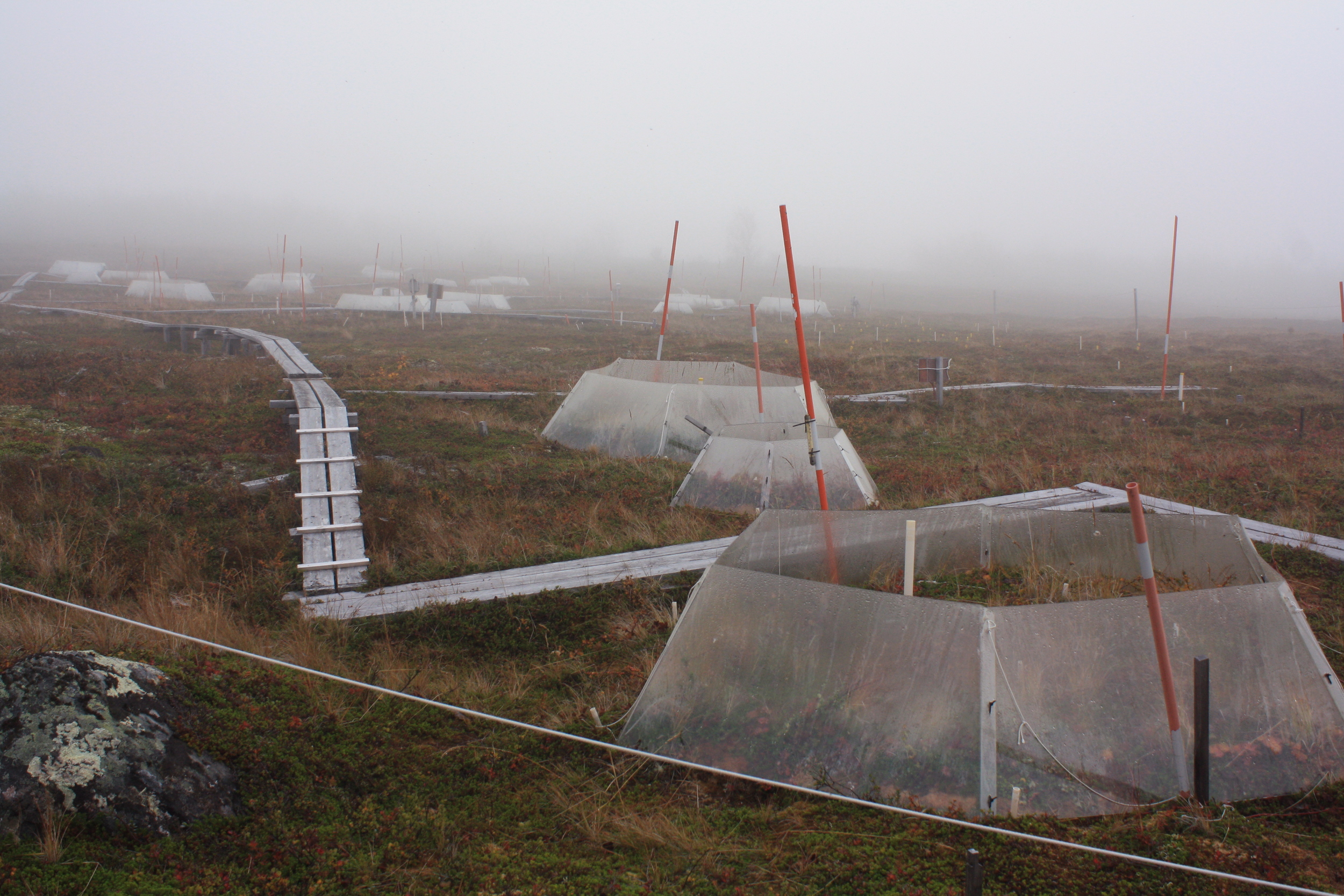 Open-top greenhouse chambers that simulate micro-environments in Abisko
