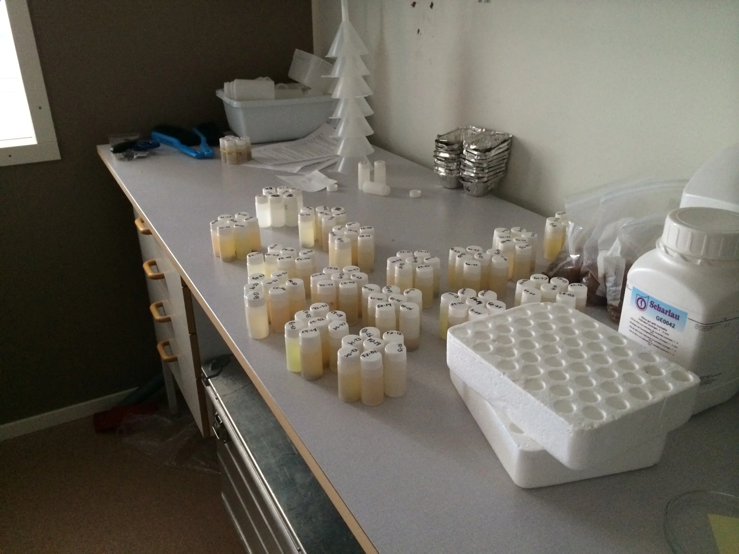 One of the rooms at the Climate Impact Research Centre