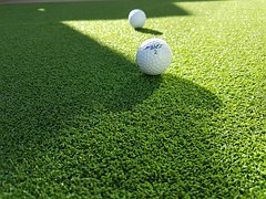 Golf Dual Meet