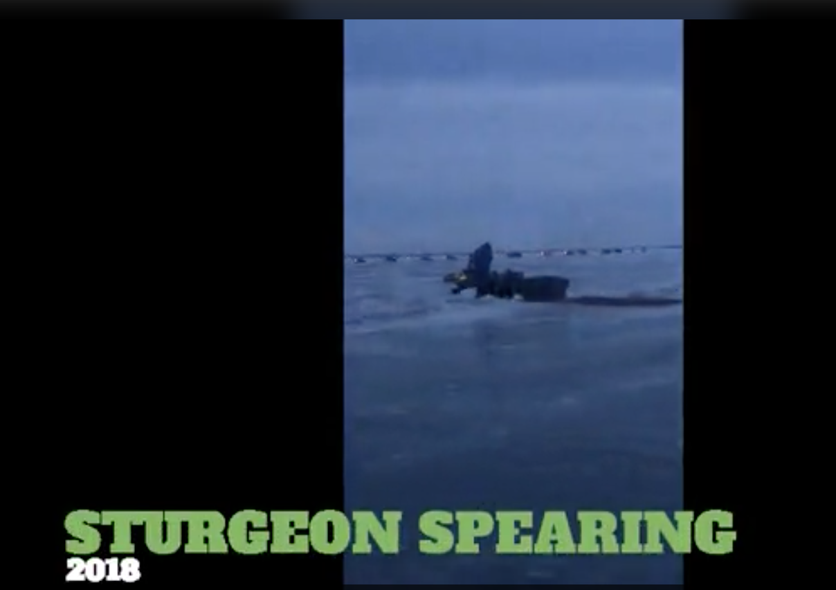 Spearing 2018