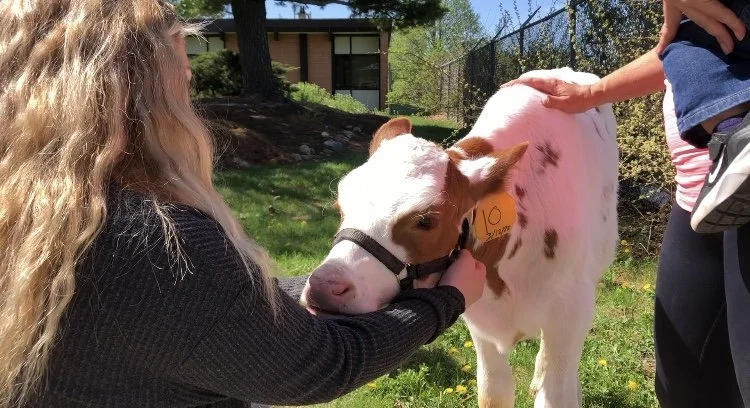 FFA Petting Zoo