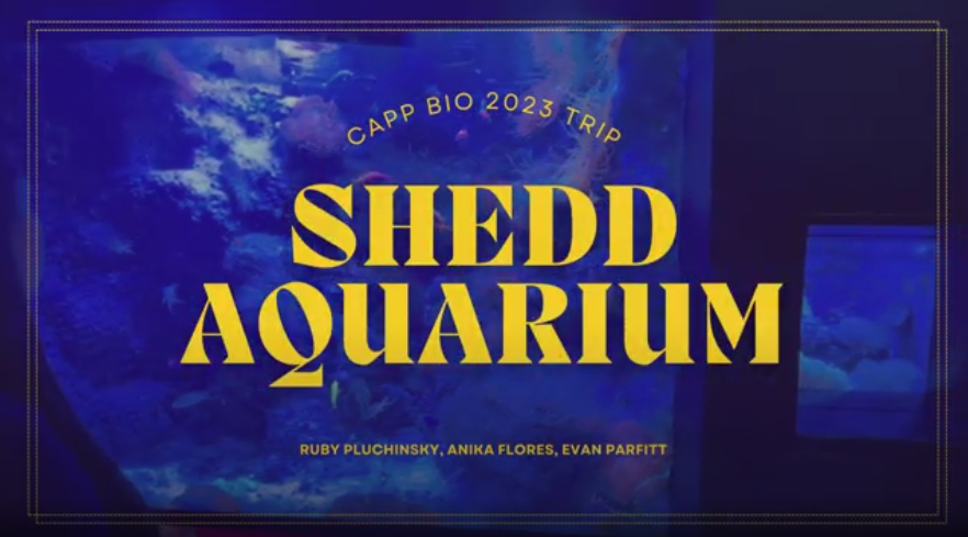 CAPP Bio Shedd Aquarium trip 2023