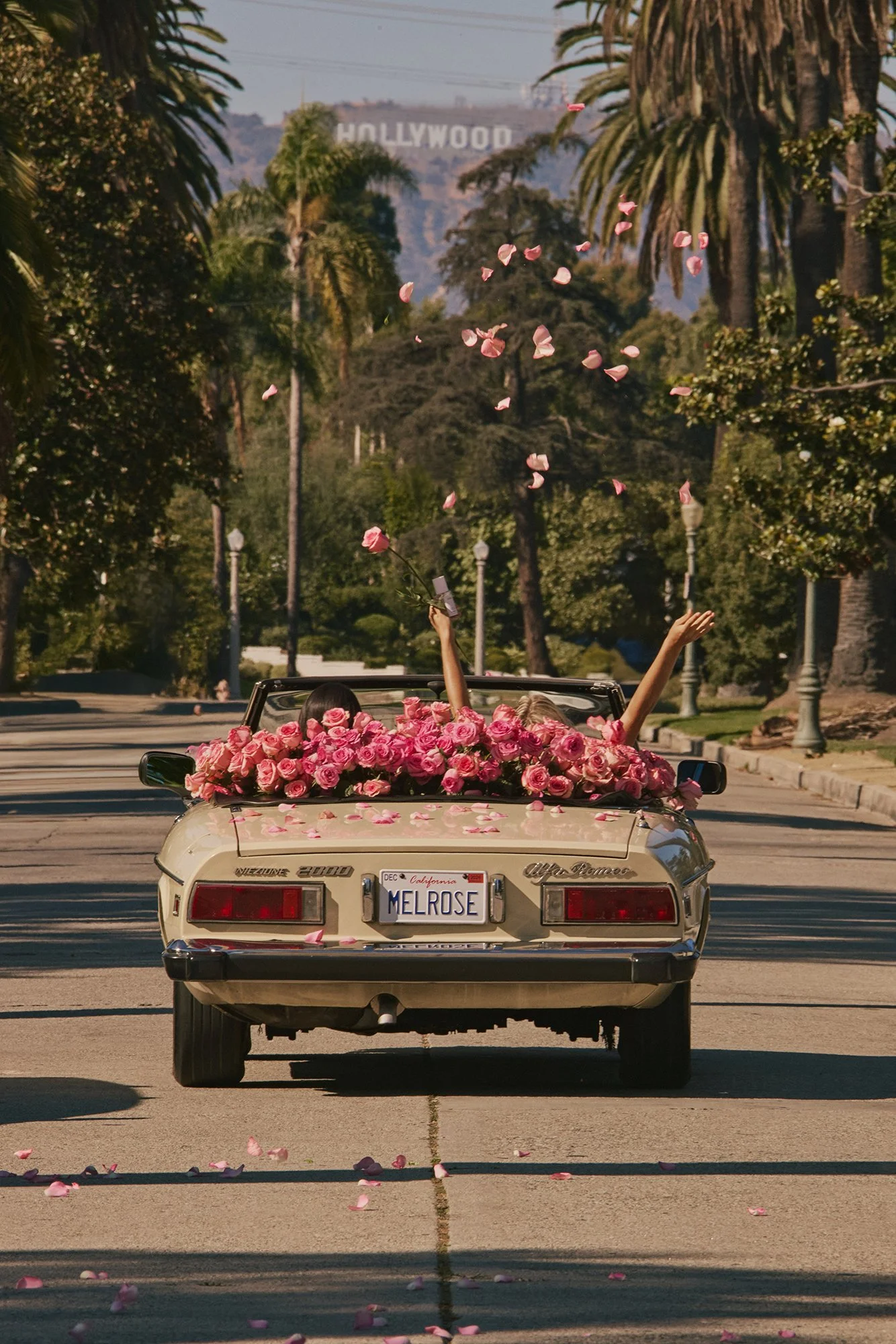 MELROSE-PL_STREET_SHOT_0885 copy.jpg