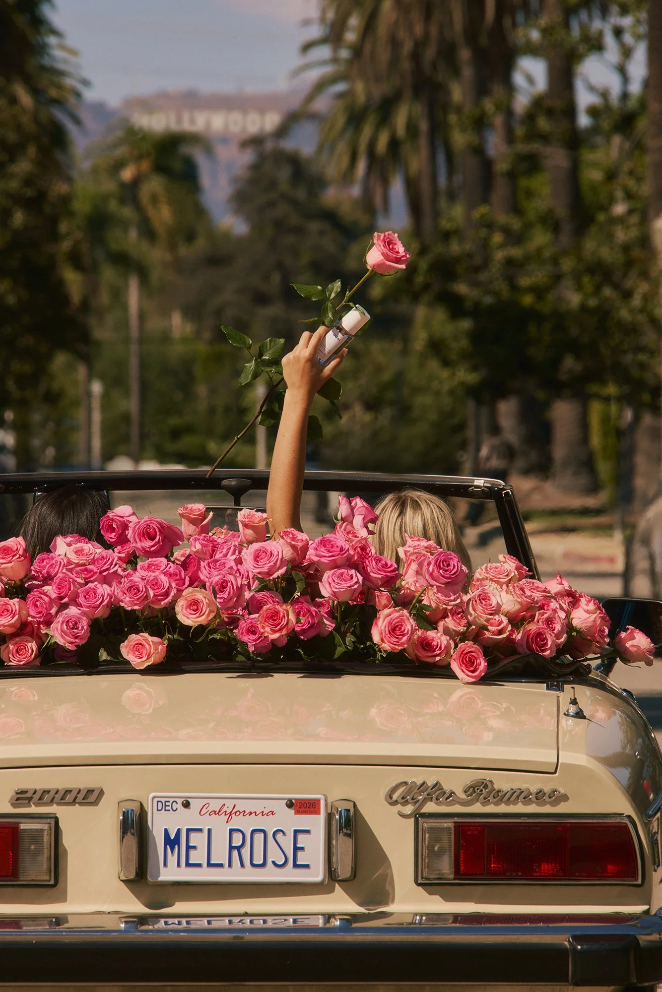 MELROSE-PL_STREET_SHOT_0252 copy.jpg