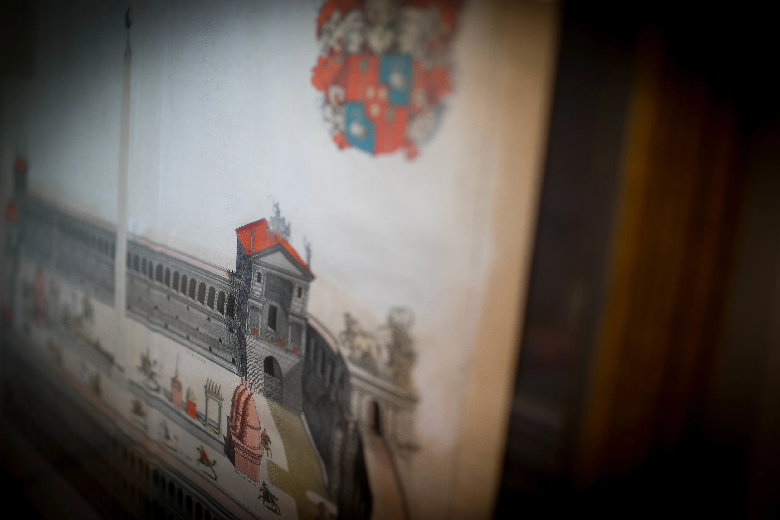 20130723-Myriad.Model.Kelly2 16.jpg