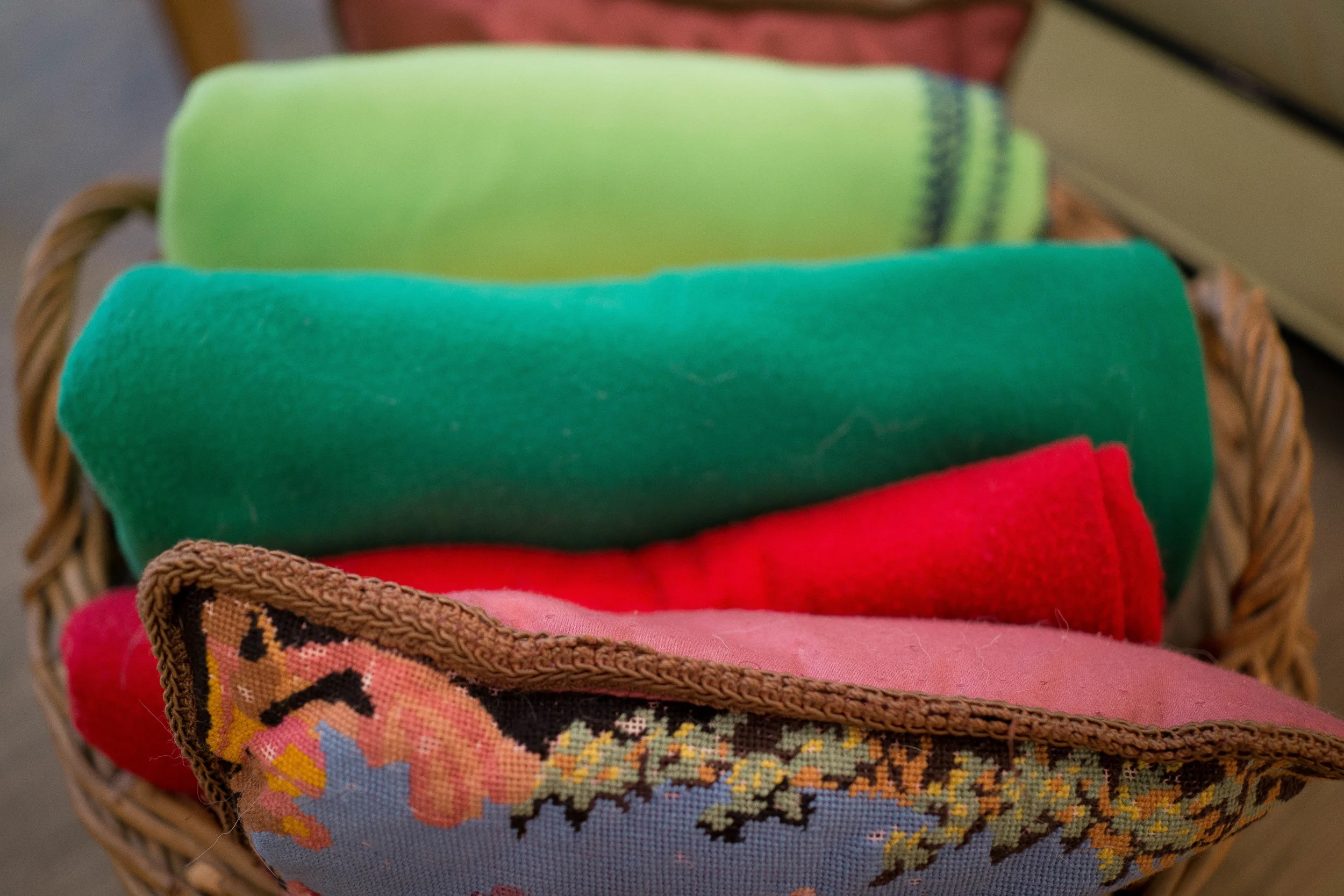 20130723-Myriad.Model.Kelly2 24.jpg