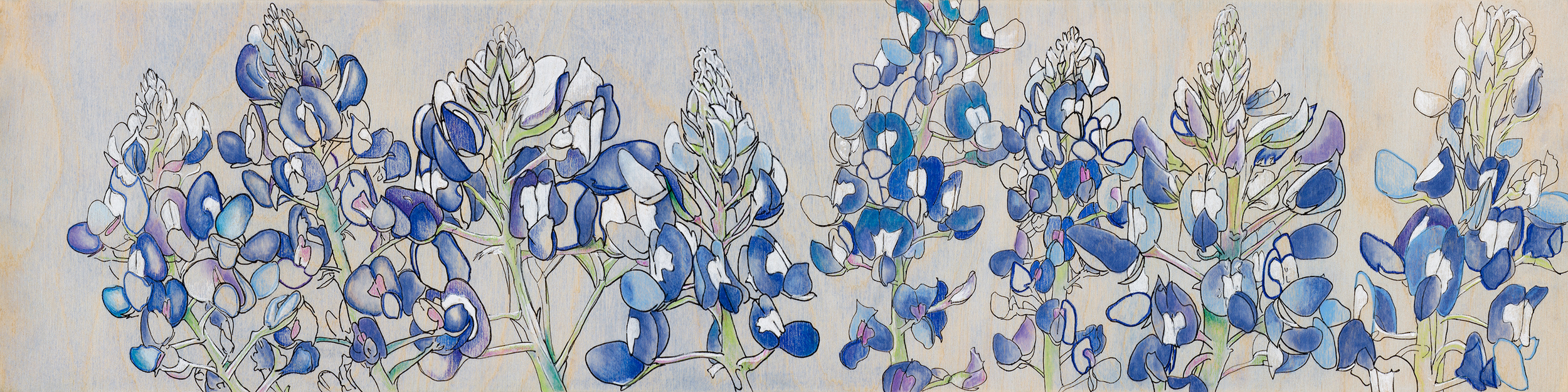 SOLD Texas Bluebonnets II
