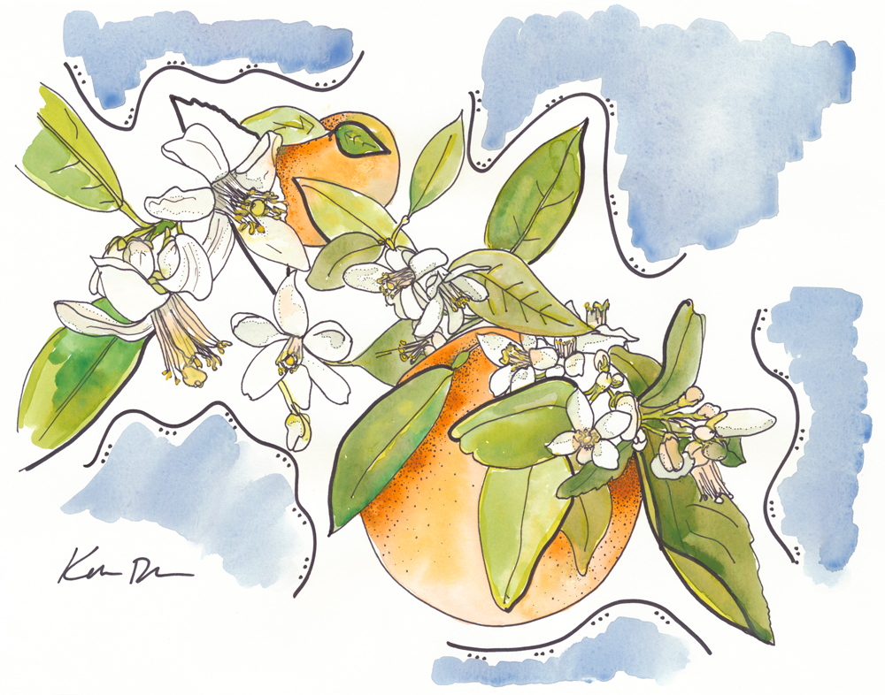 SOLD Orange Blossom