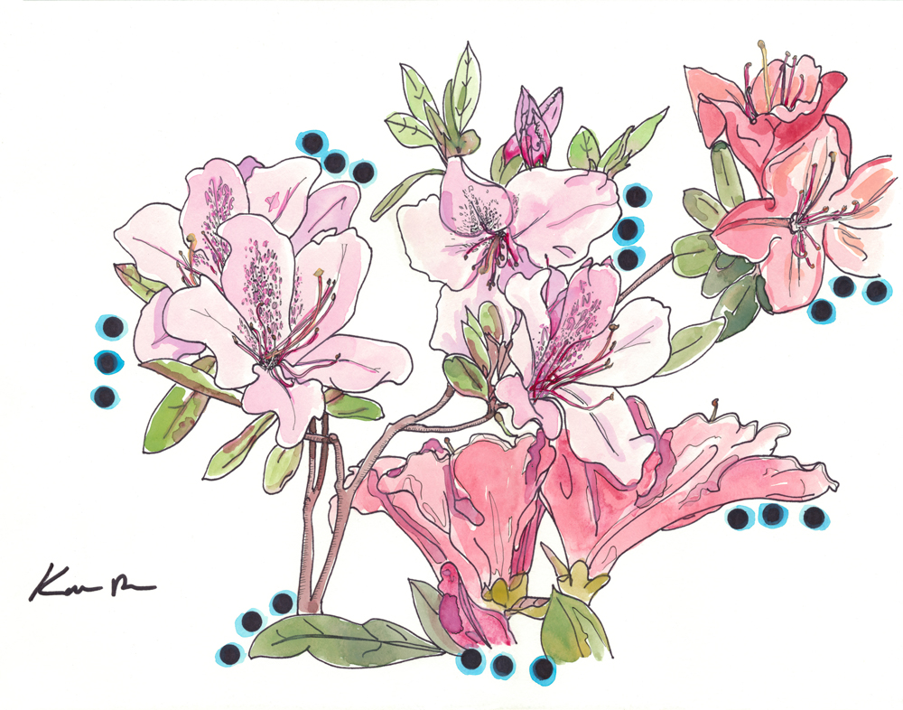 Rhododendron