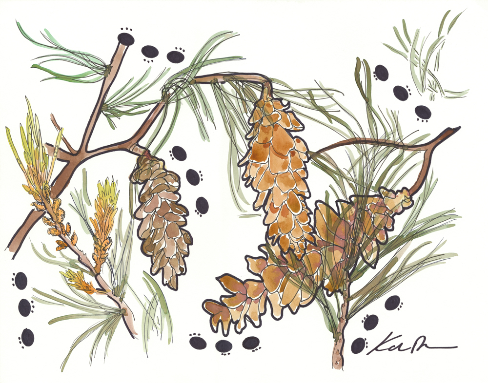 SOLD White Pine Cone and Tassel