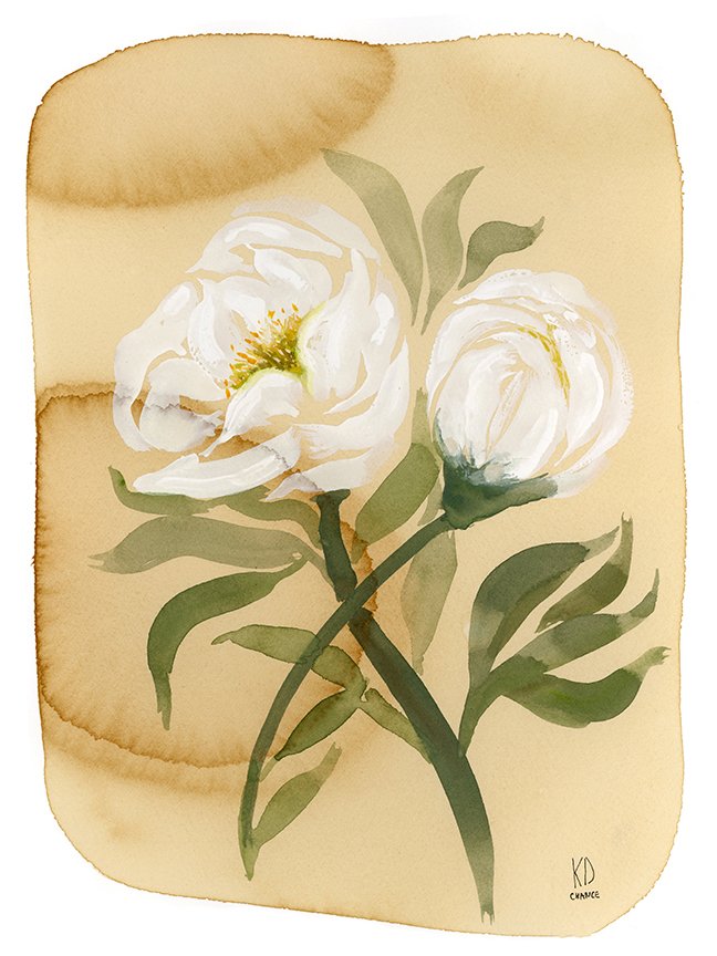 White Peony-low res.jpg