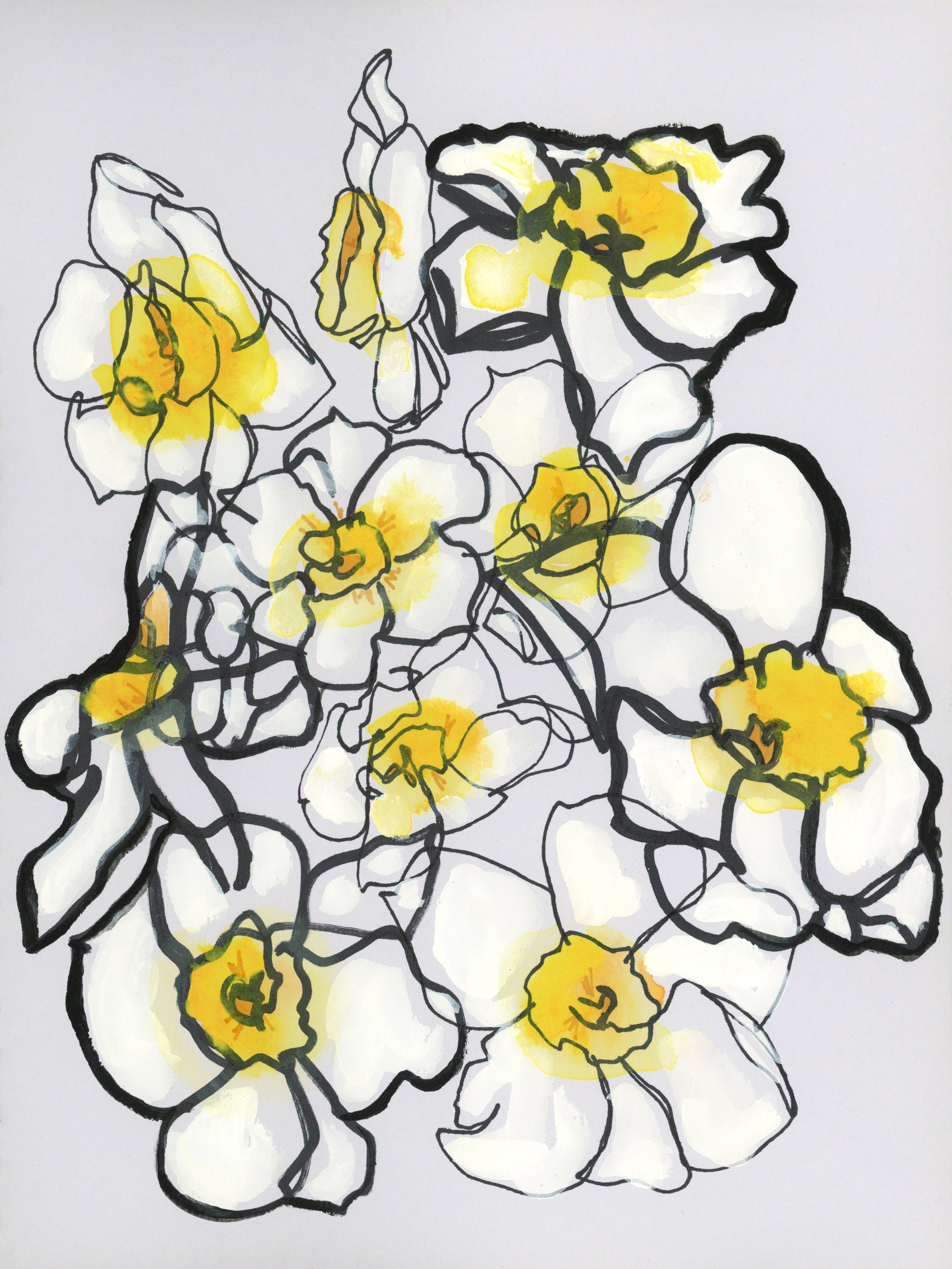 Gathered Daffodil 2 .jpg