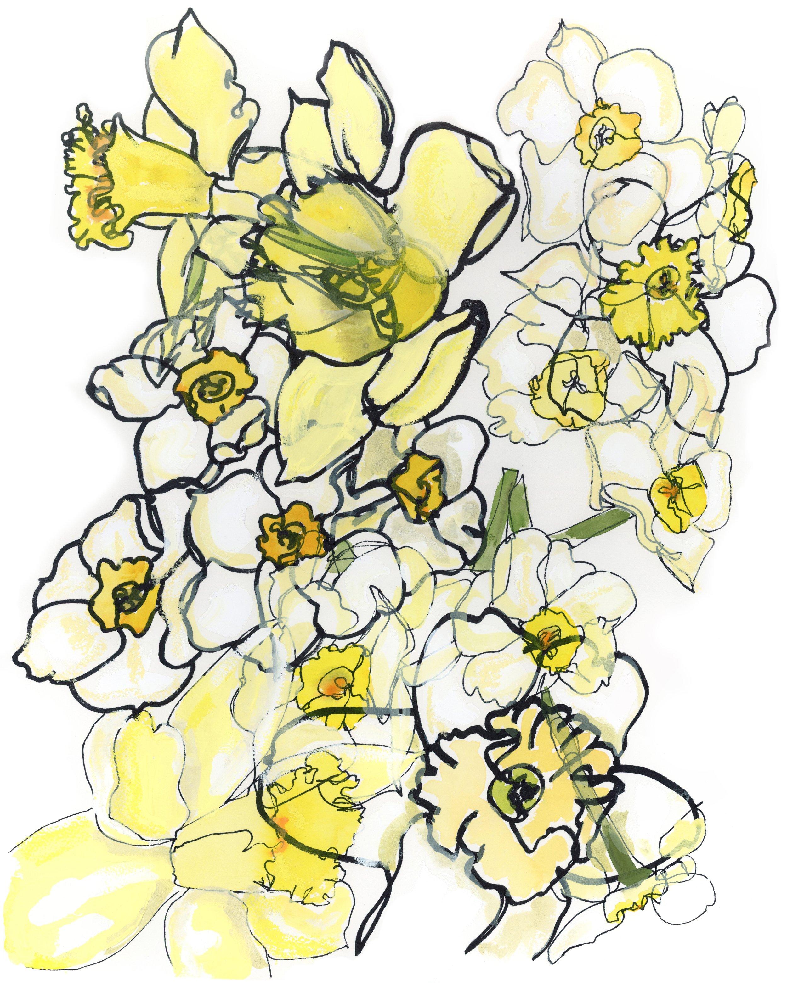 Gathered Daffodils.jpg