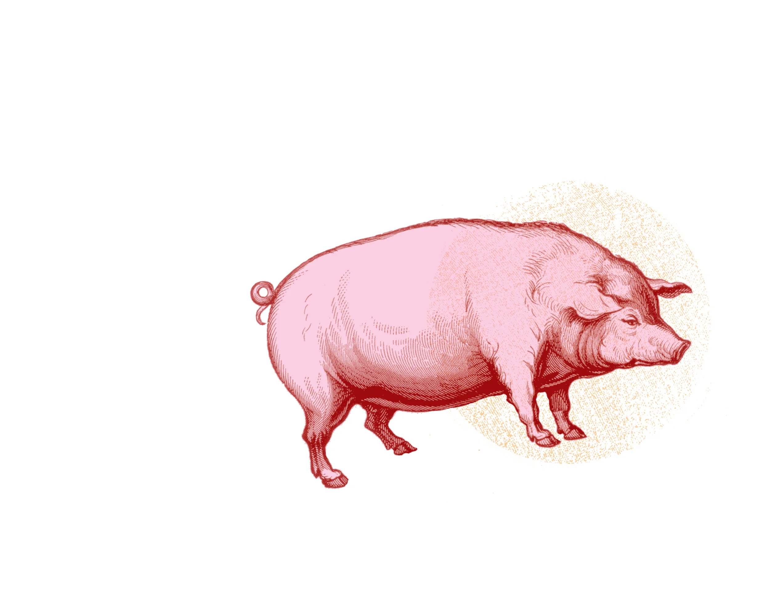 PIG_case.jpg