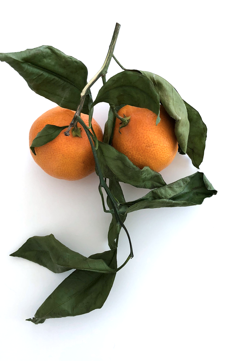 The Ultimate Holiday Gift Guide