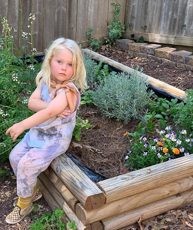 Always in the garden eating arugula blossoms